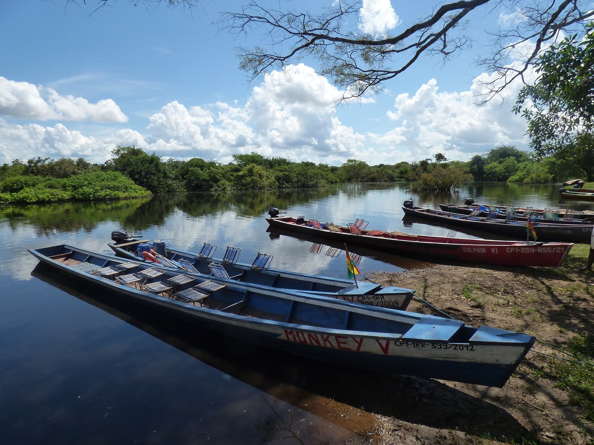 Yacuma pampas wetlands