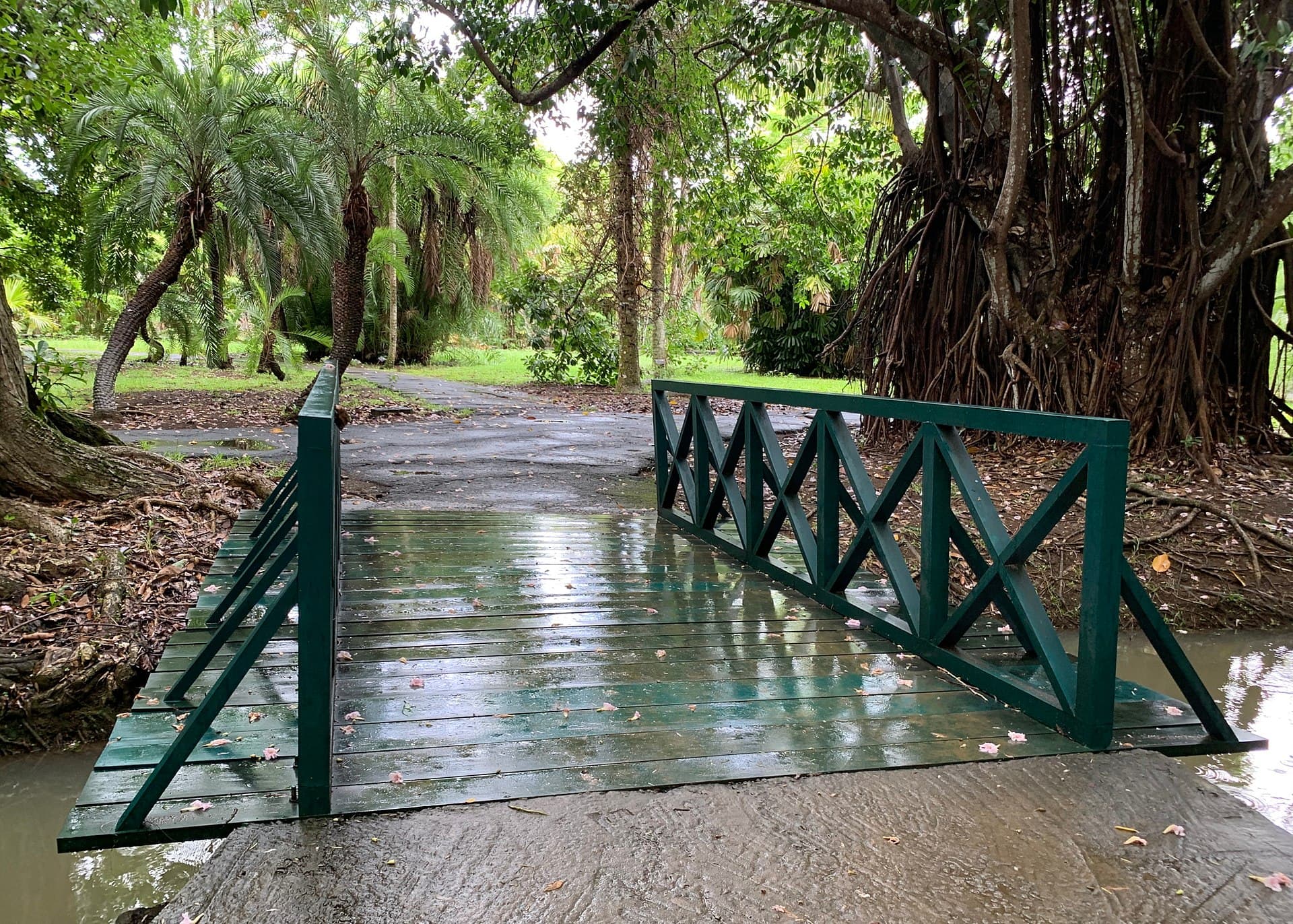 Pamplemousses Botanical Garden