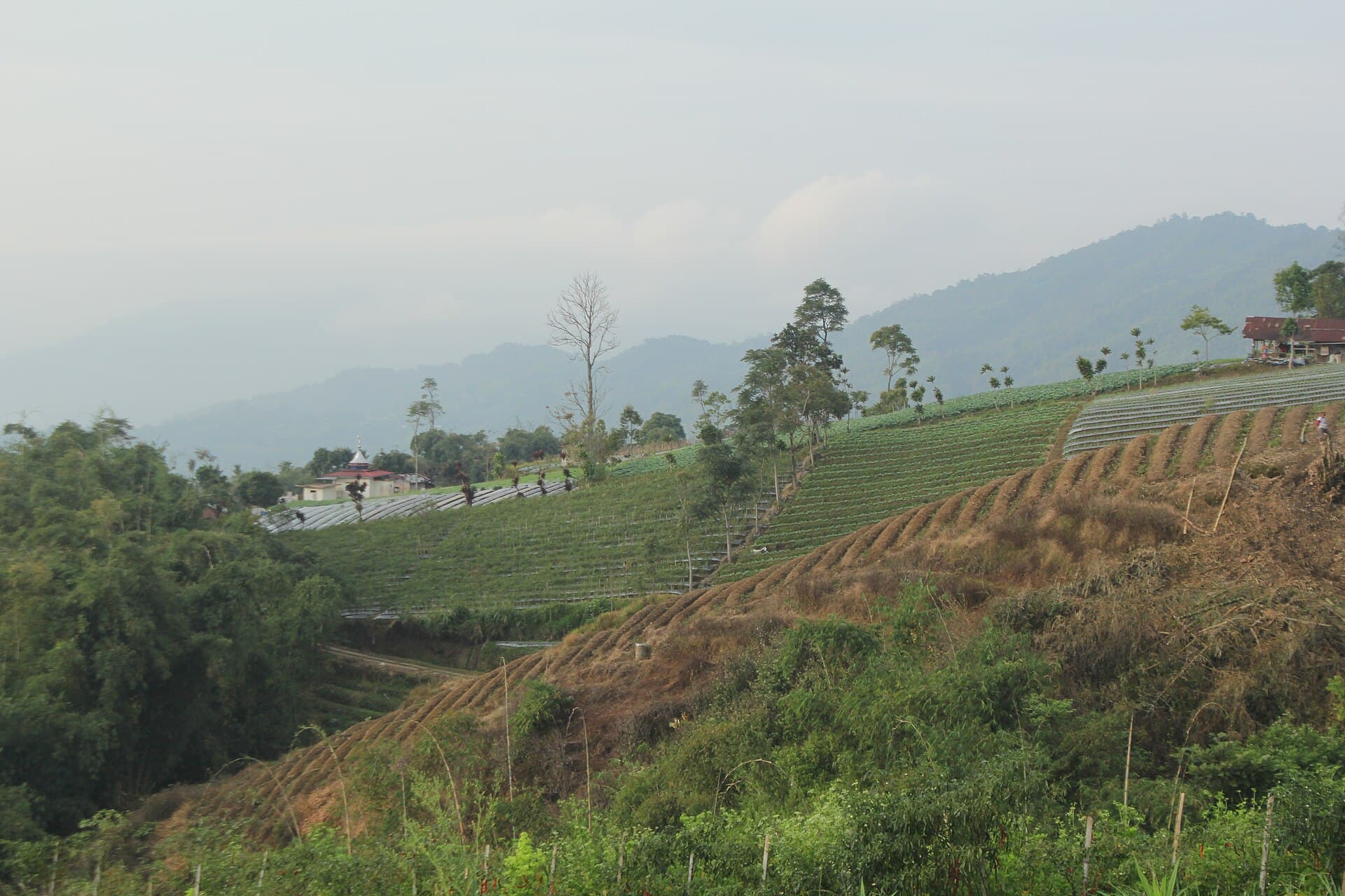 Pandai Sikek village