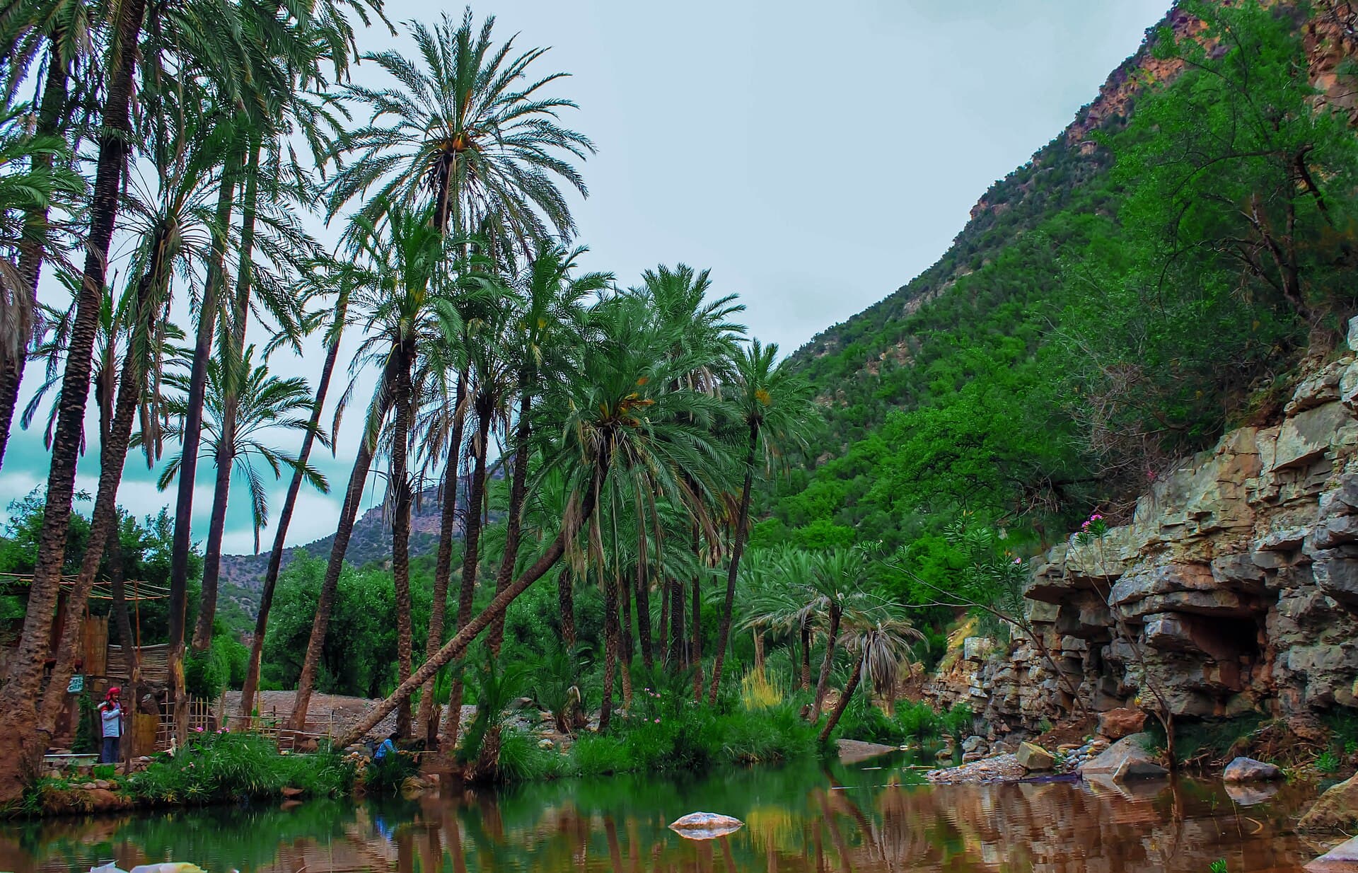 Paradise Valley