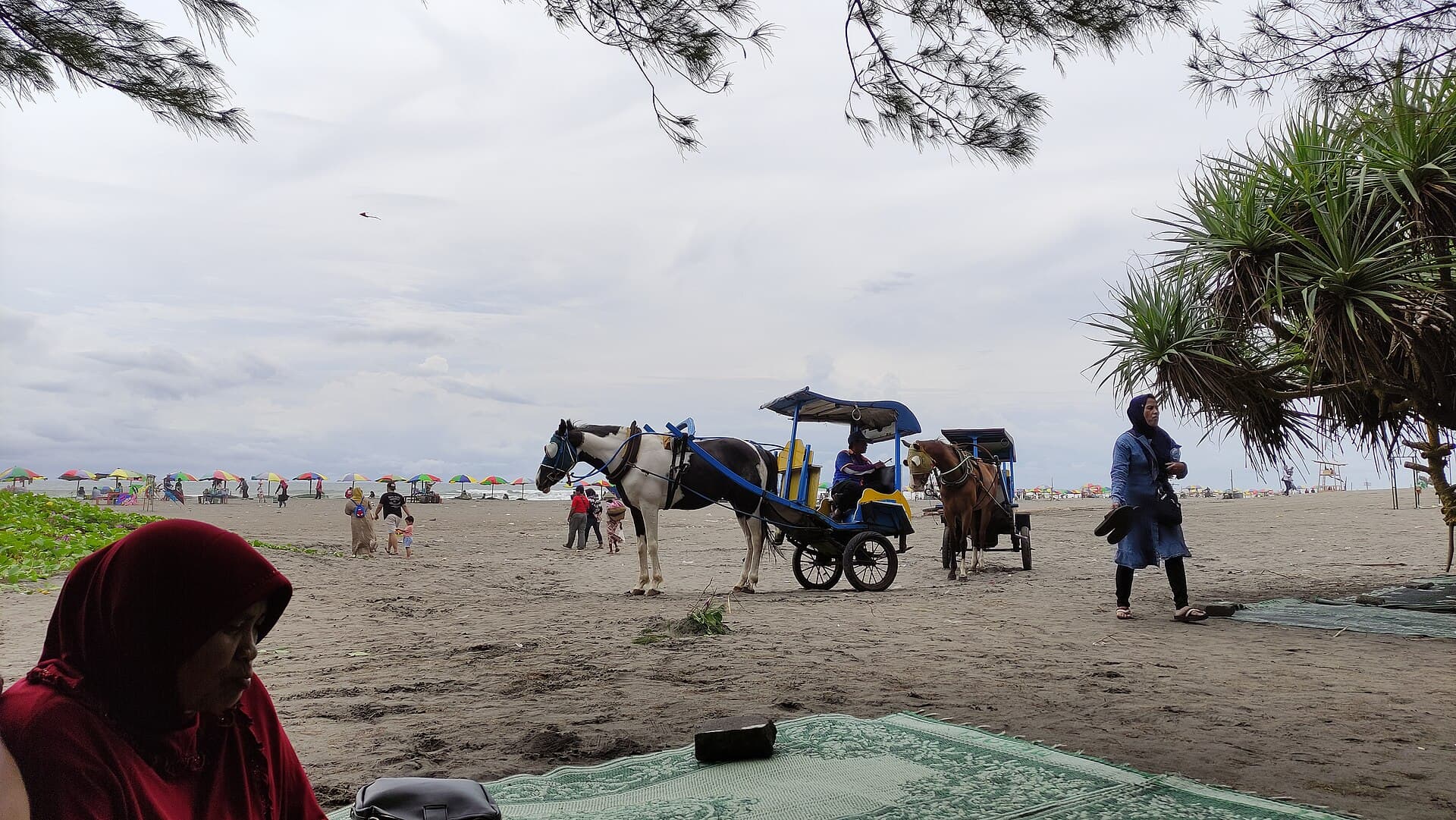 Parangtritis Beach