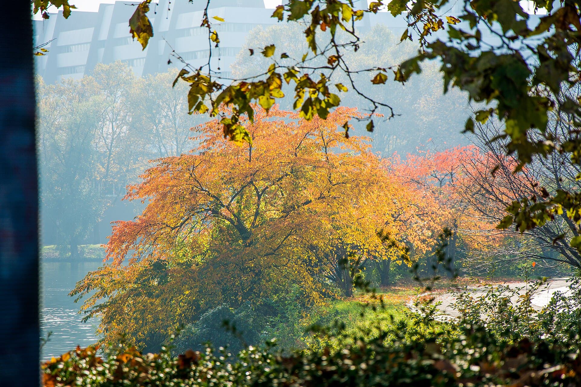 Parc de l'Orangerie, Strasbourg