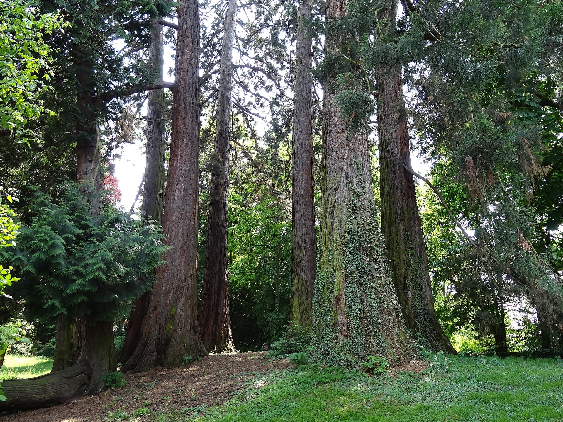 Parc des Eaux-Vives, Geneva