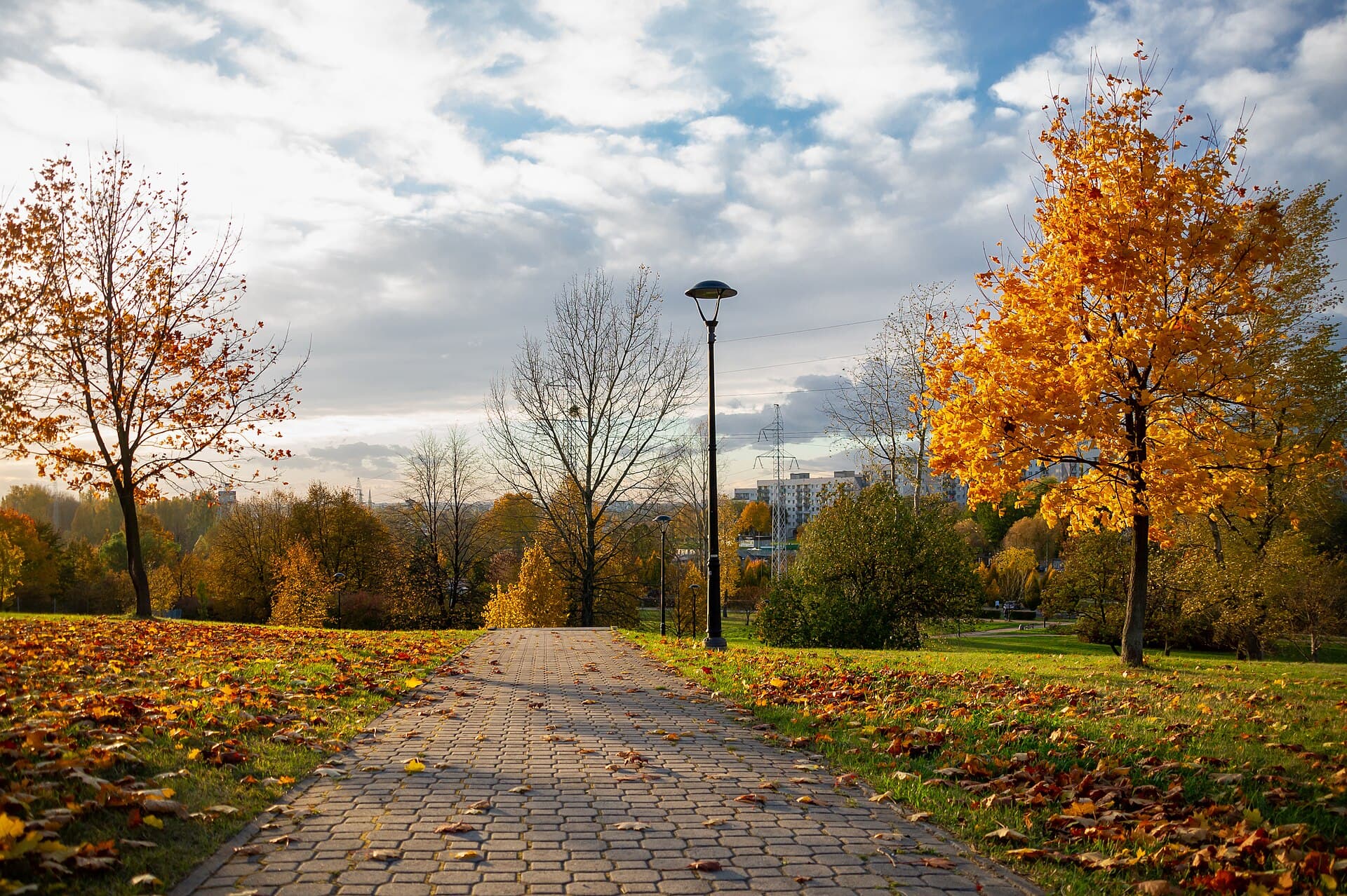 The Municipal Park, Luxembourg City