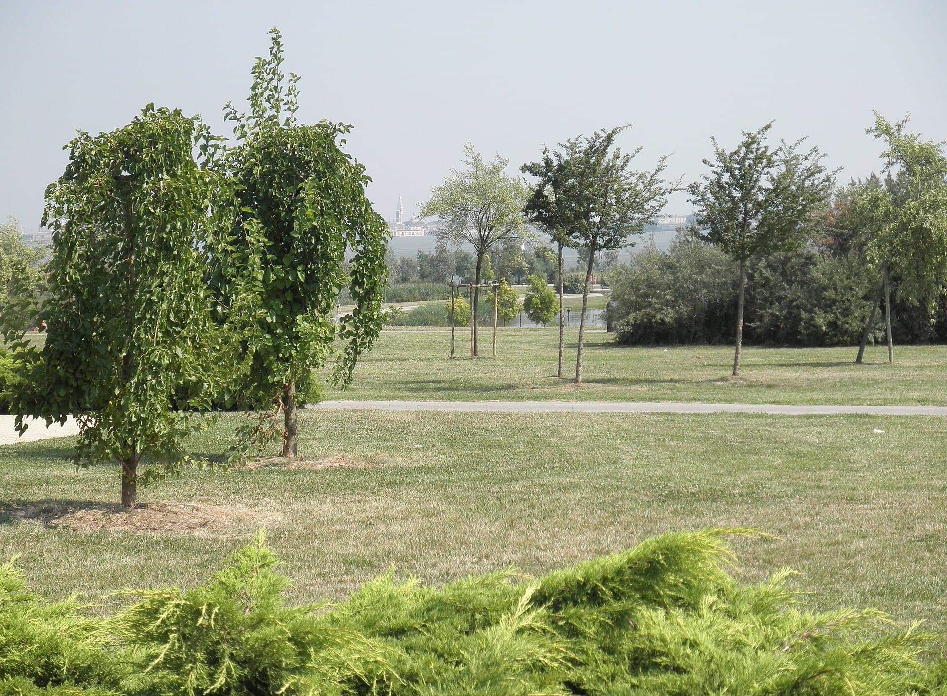 Parco San Giuliano, Venice