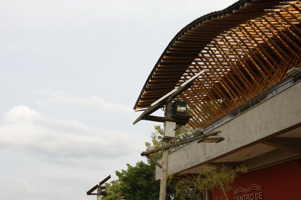 Pardinho and the Max Feffer Centre, Pardinho