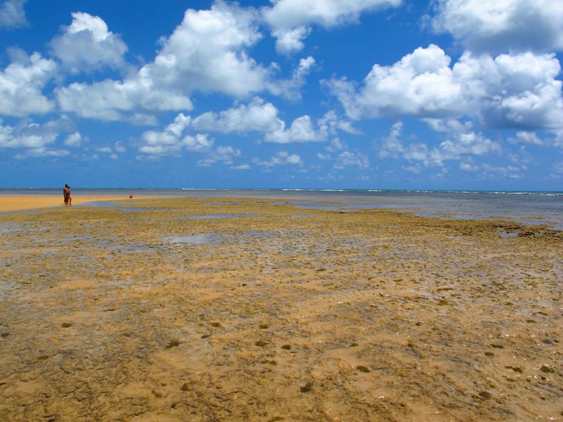 Areia Vermelha Marine State Park, Cabedelo