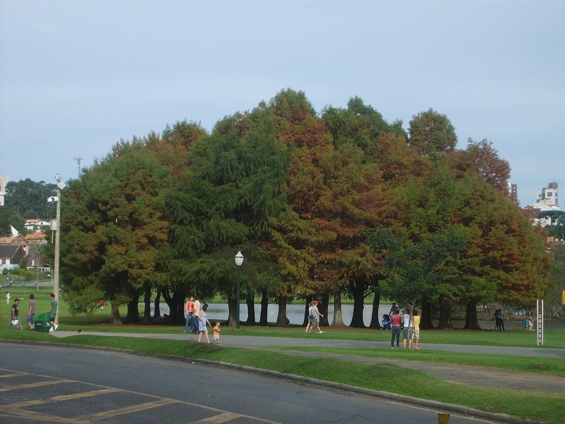 Parque Barigui, Curitiba