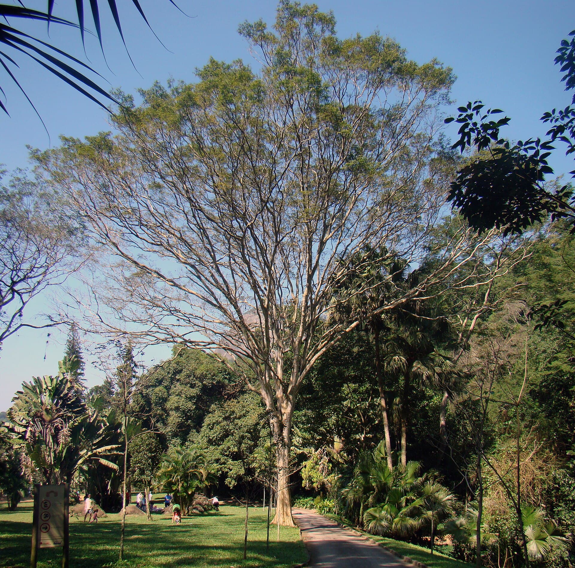 Parque da Cidade (Gávea), Rio de Janeiro