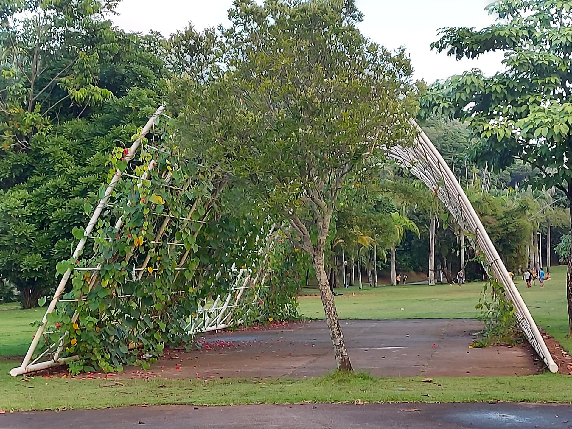 Parque da Cidade (Salvador), Salvador