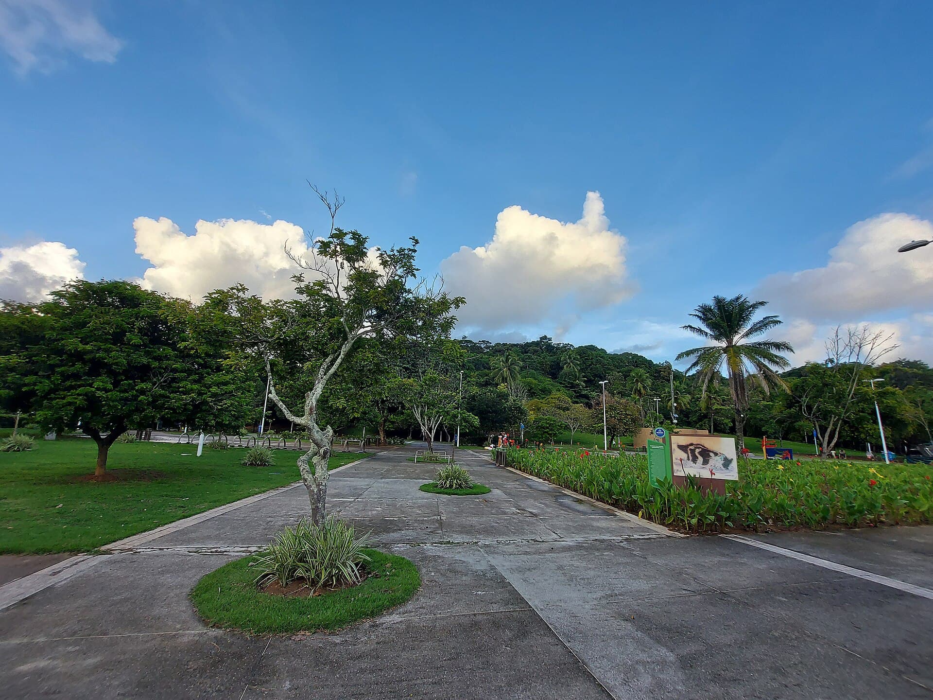 Parque da Cidade (Salvador), Salvador