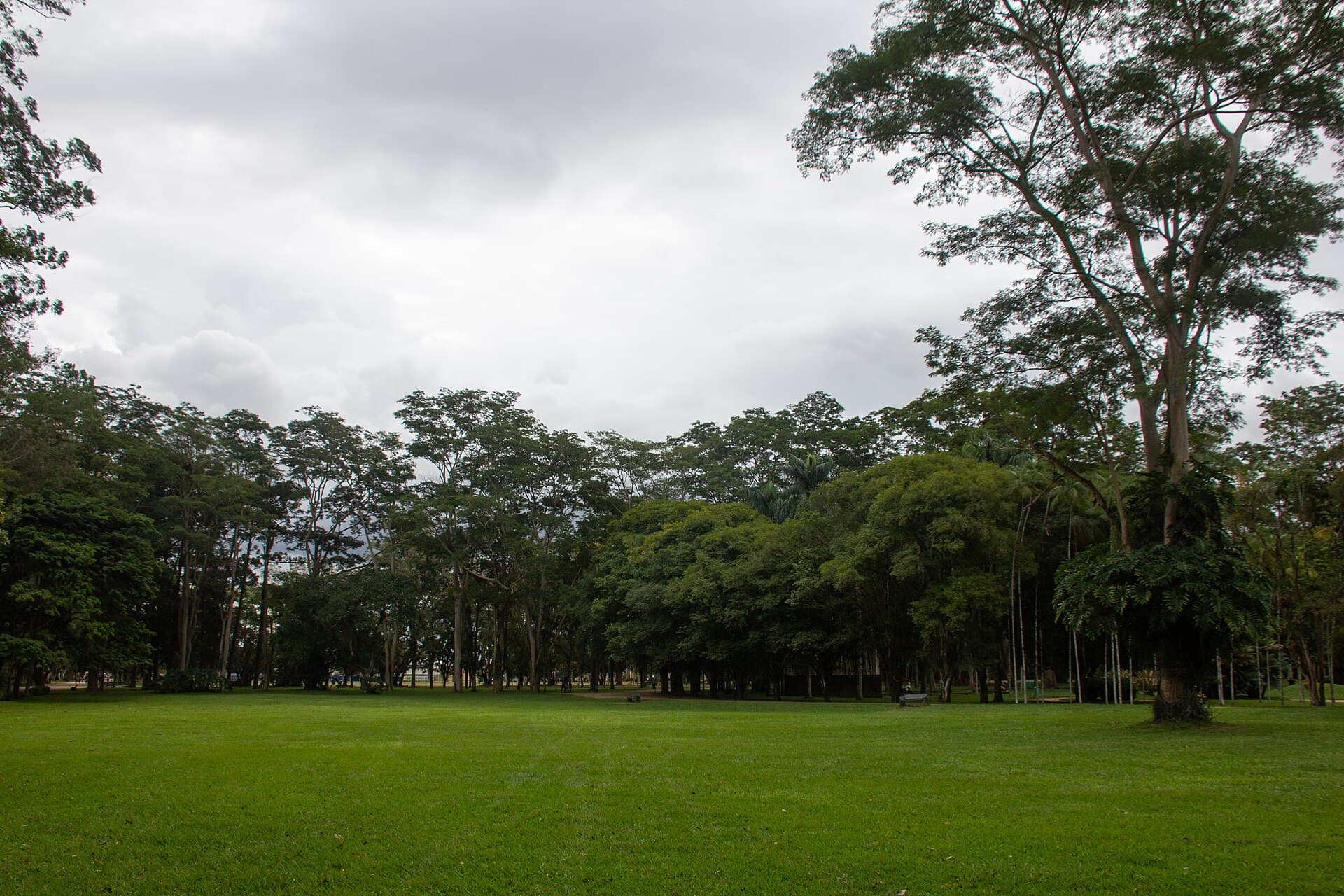 Parque da Cidade Roberto Burle Marx