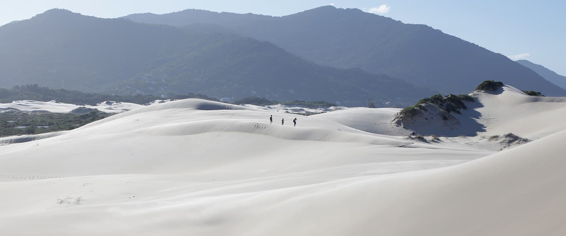 Parque das Dunas da Lagoa da Conceição, Florianópolis