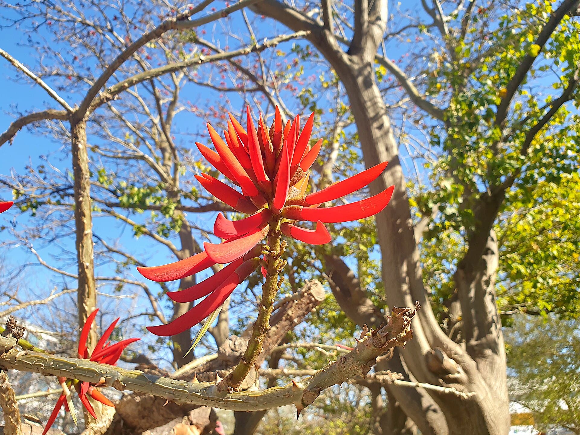 Parque das Nações, Lisbon
