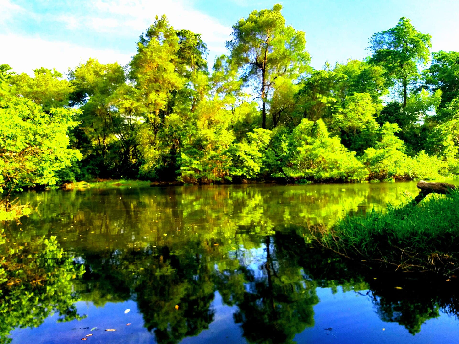 Parque do Cocó, Fortaleza
