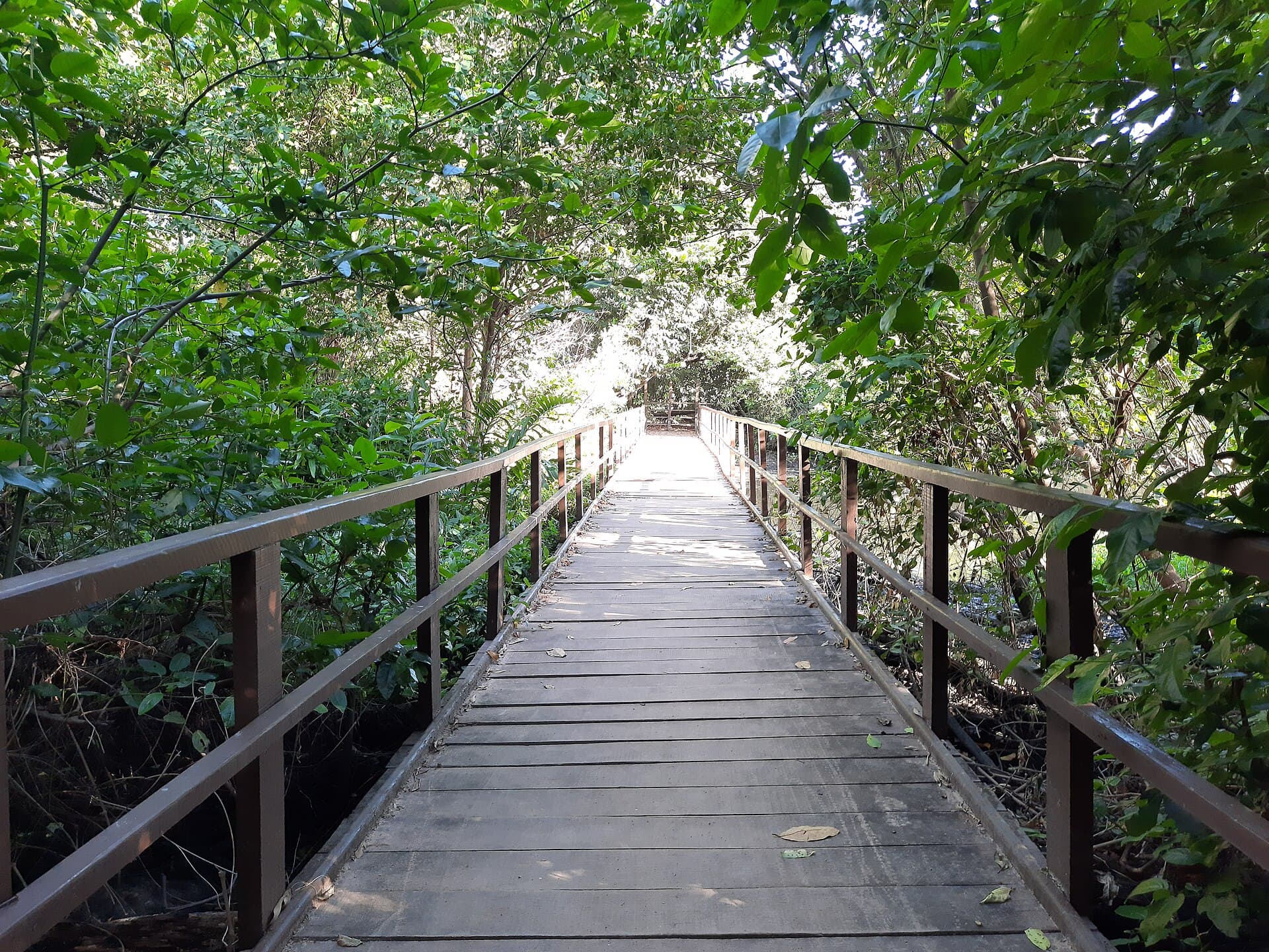 Parque do Cocó, Fortaleza