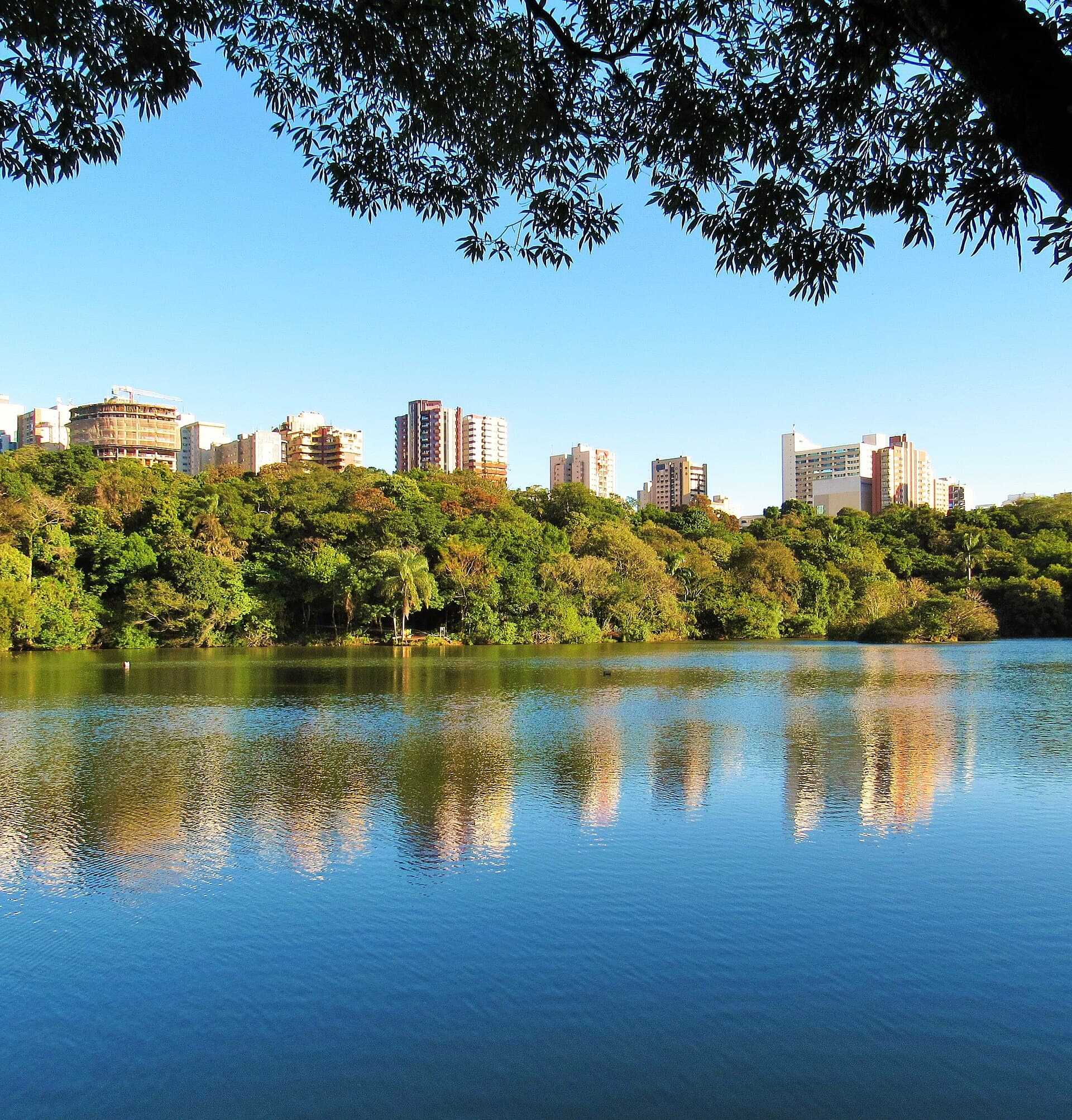 Parque do Ingá, Maringá, Maringá