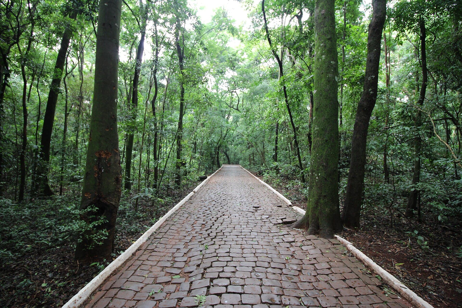 Parque do Ingá, Maringá, Maringá