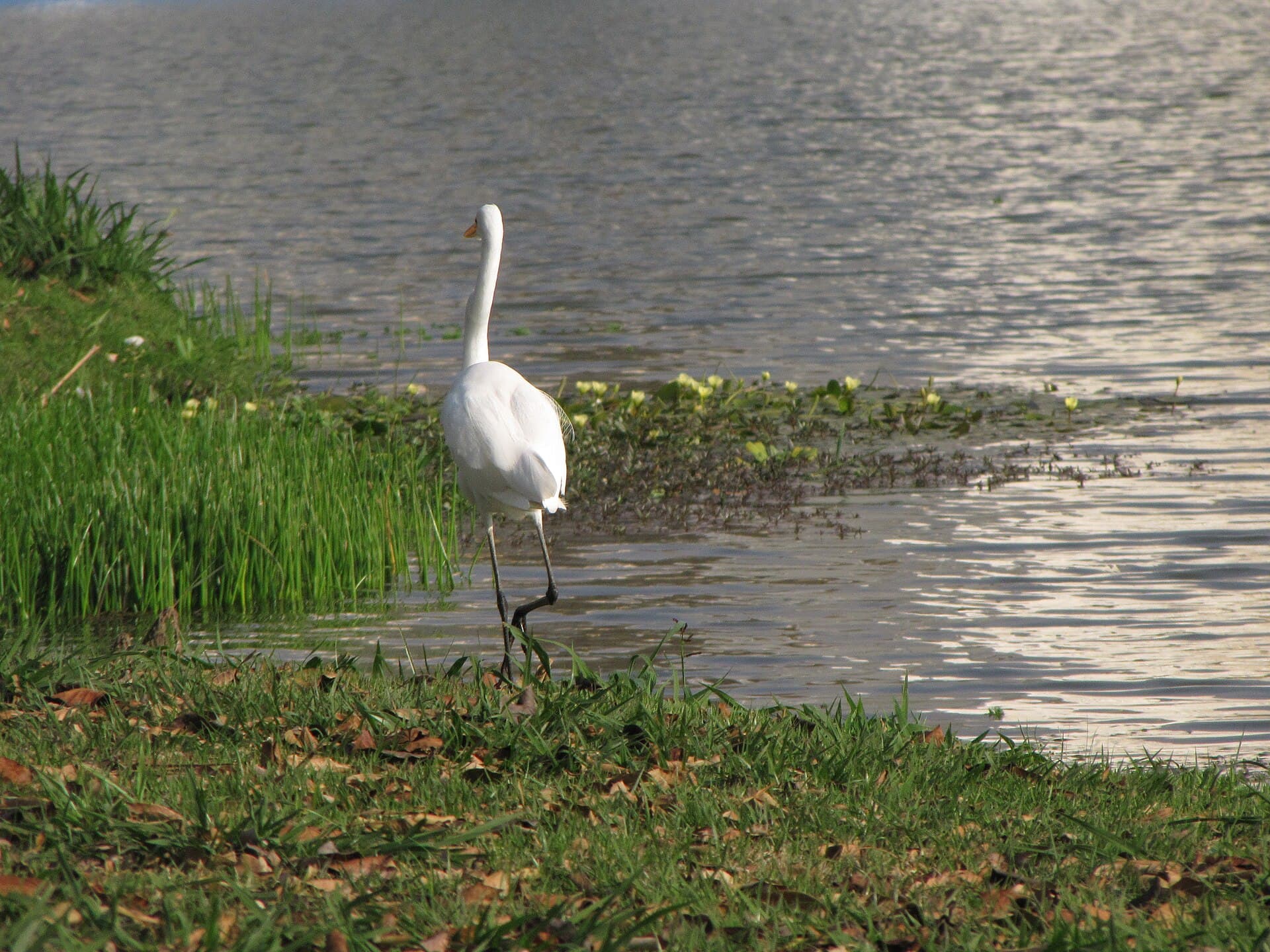 Indaiatuba Ecological Park, Indaiatuba
