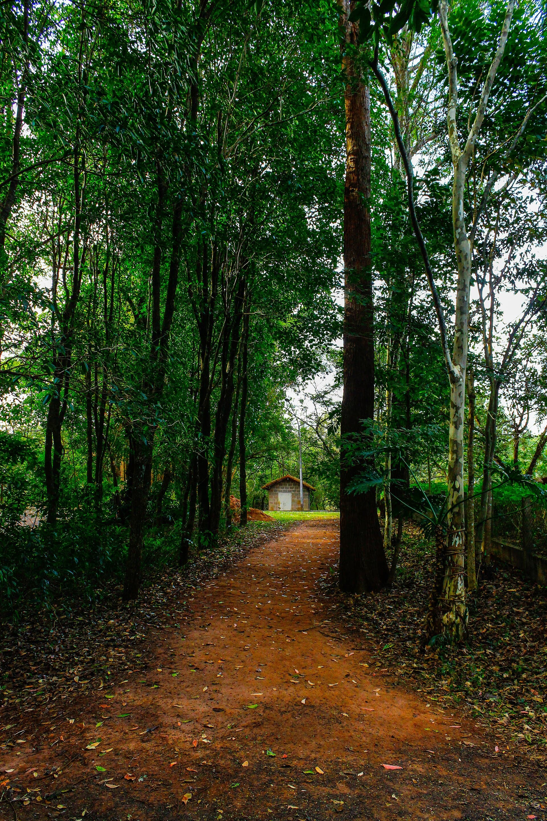 São Carlos Ecological Park, São Carlos