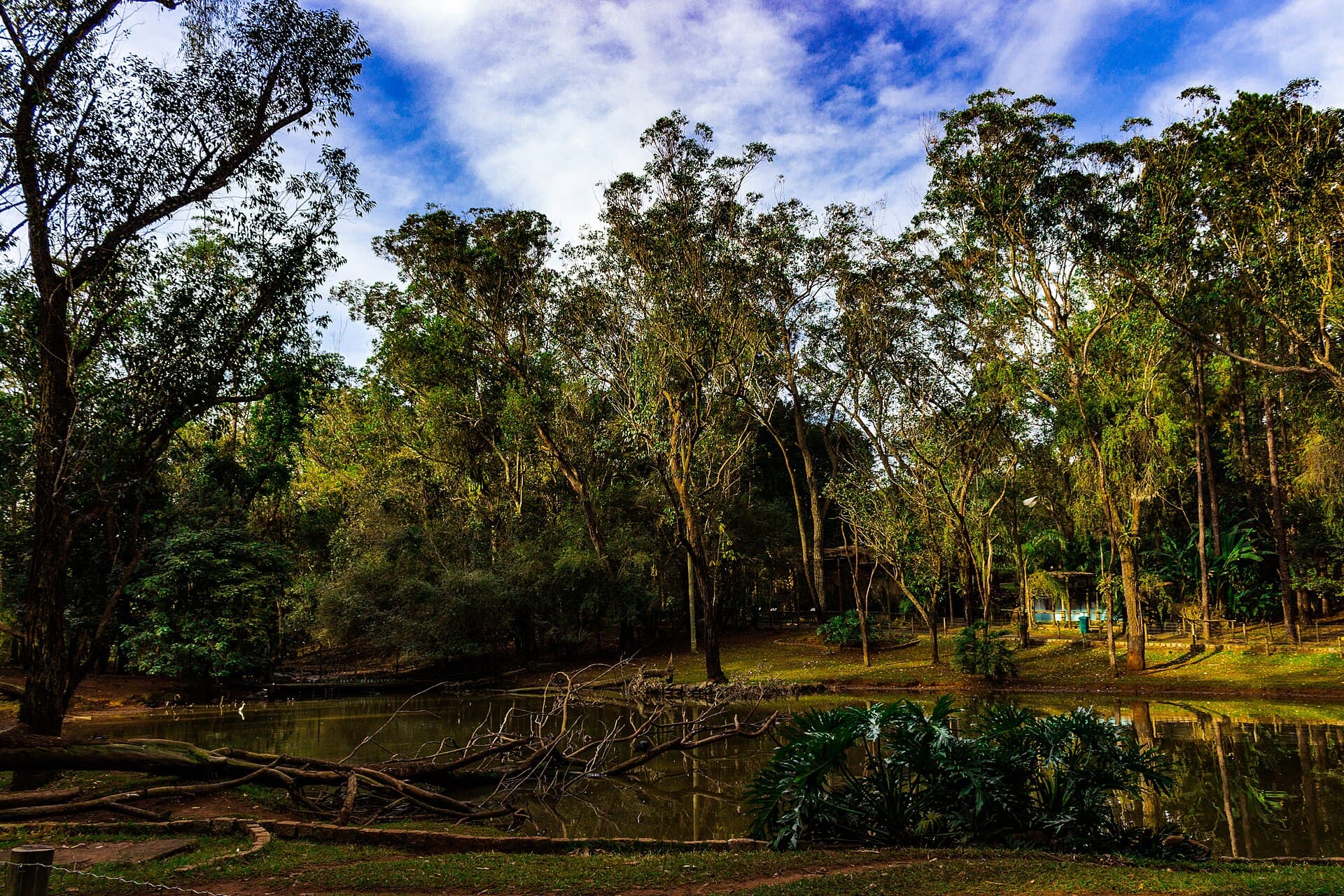 São Carlos Ecological Park, São Carlos