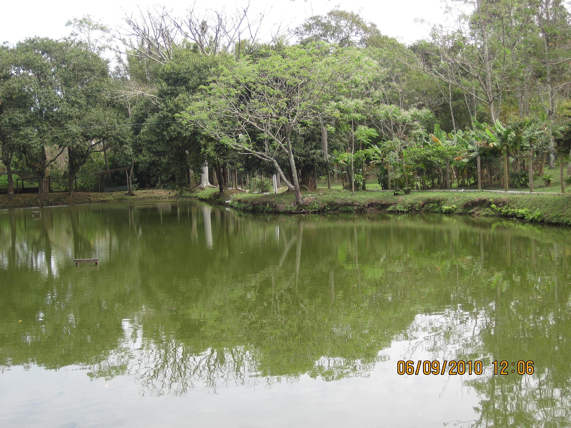 Córrego Grande Ecological Park, Florianópolis