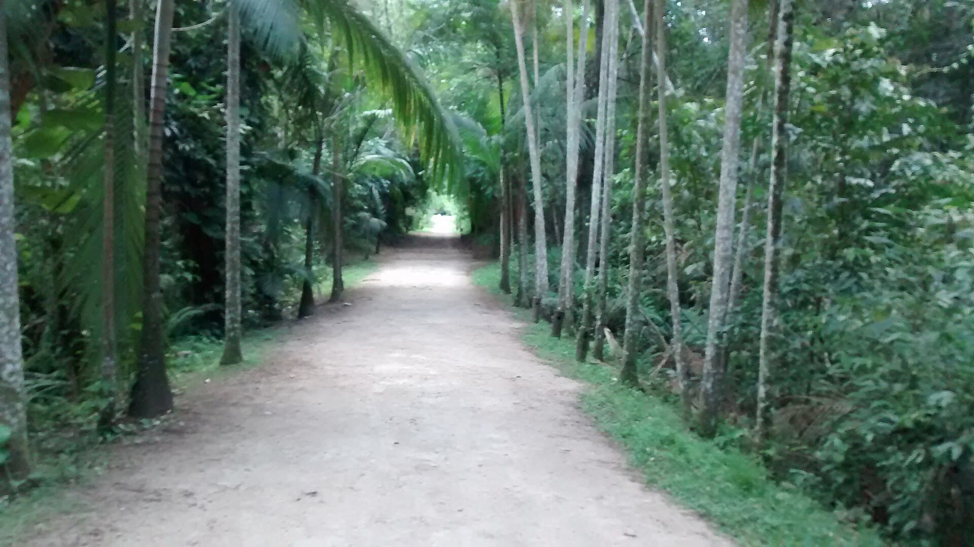 Córrego Grande Ecological Park, Florianópolis