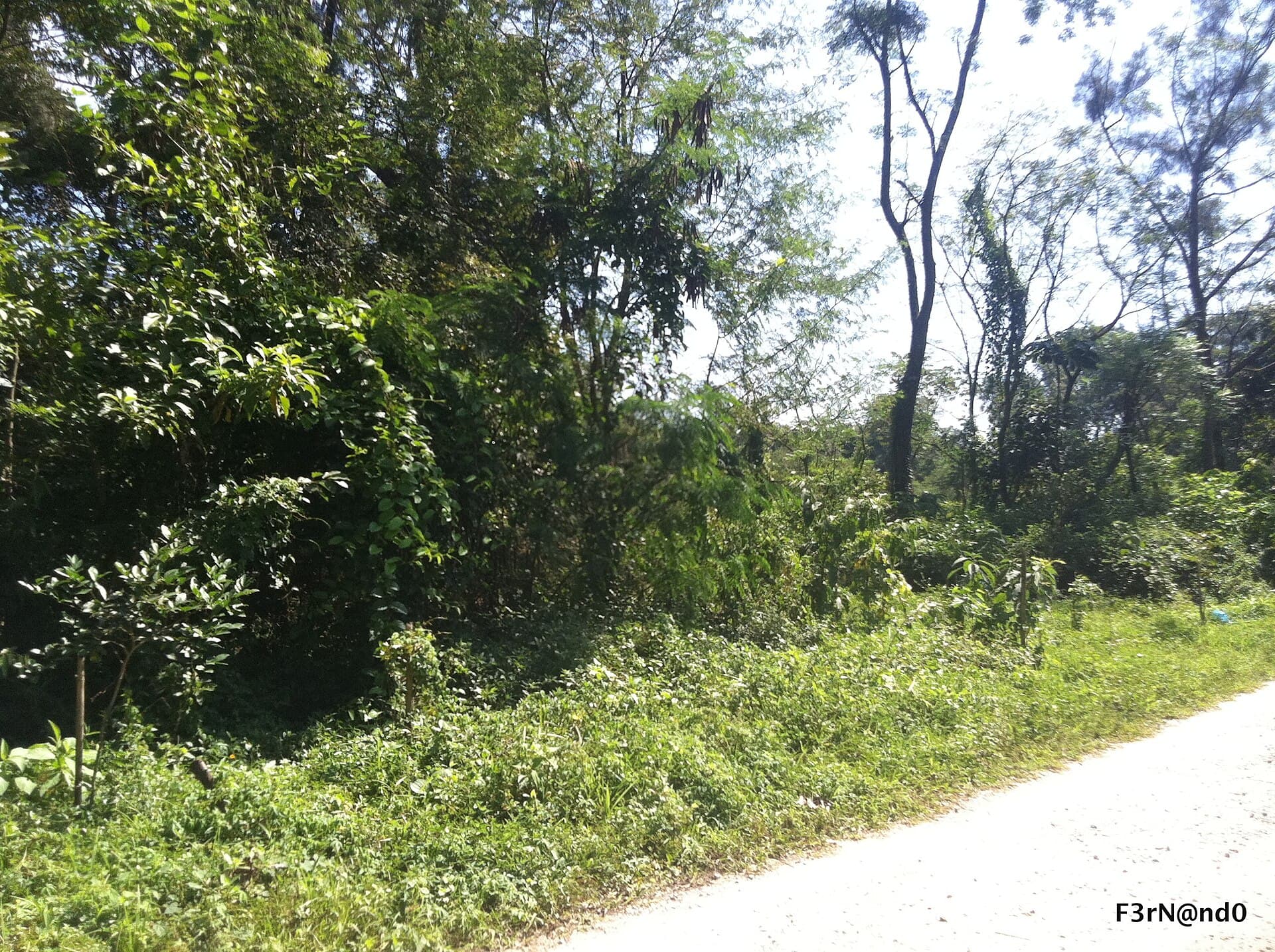 Parque Ecológico do Tietê, São Paulo