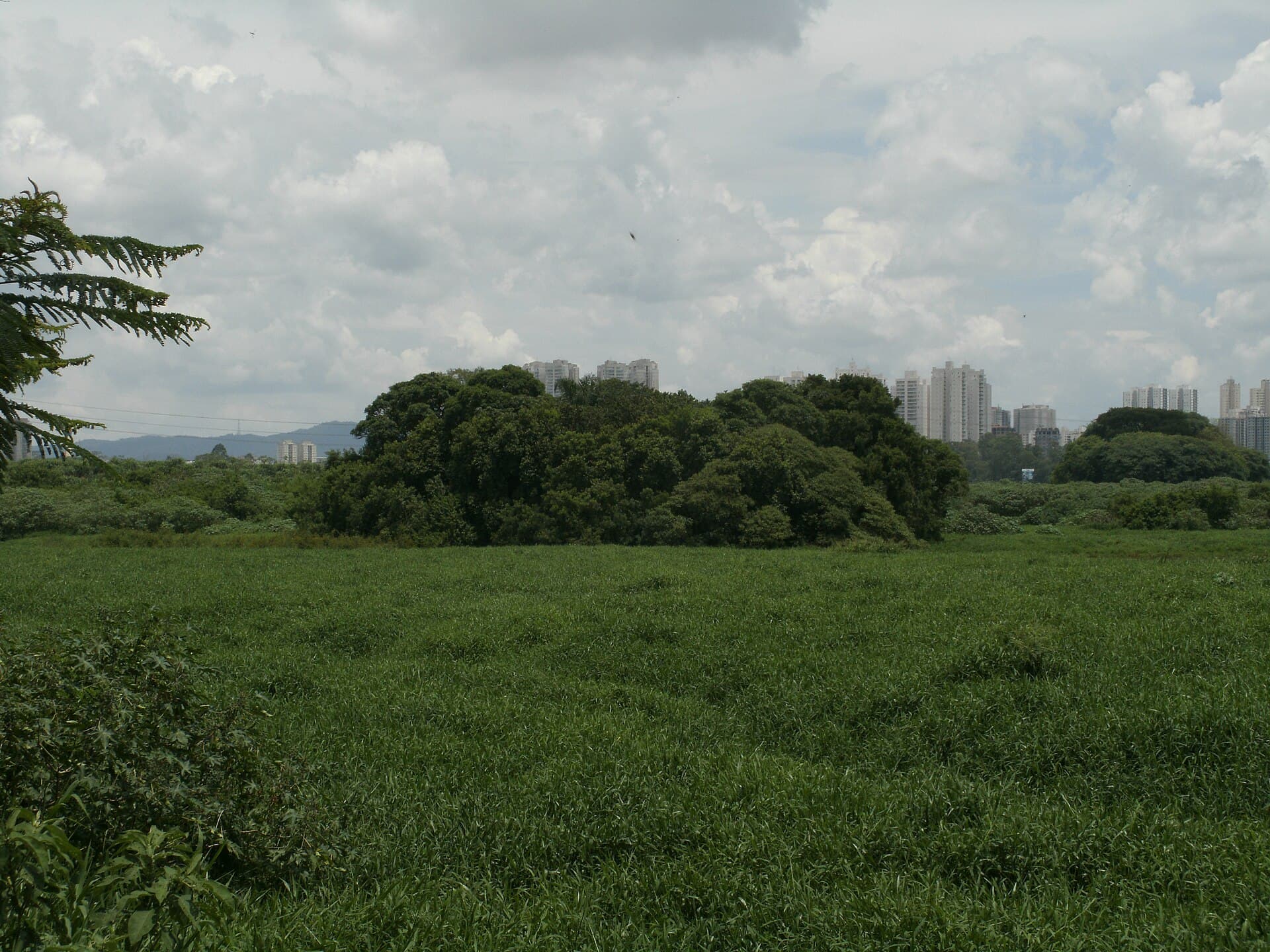 Parque Ecológico do Tietê, São Paulo