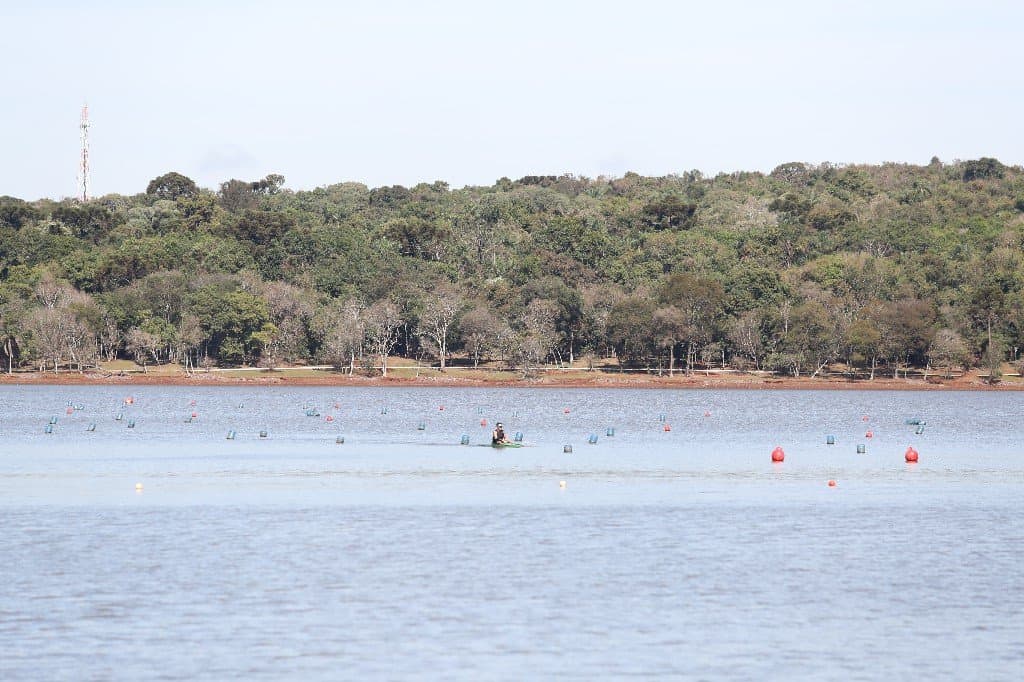 Paulo Gorski Ecological Park (Lago Municipal), Cascavel, Cascavel
