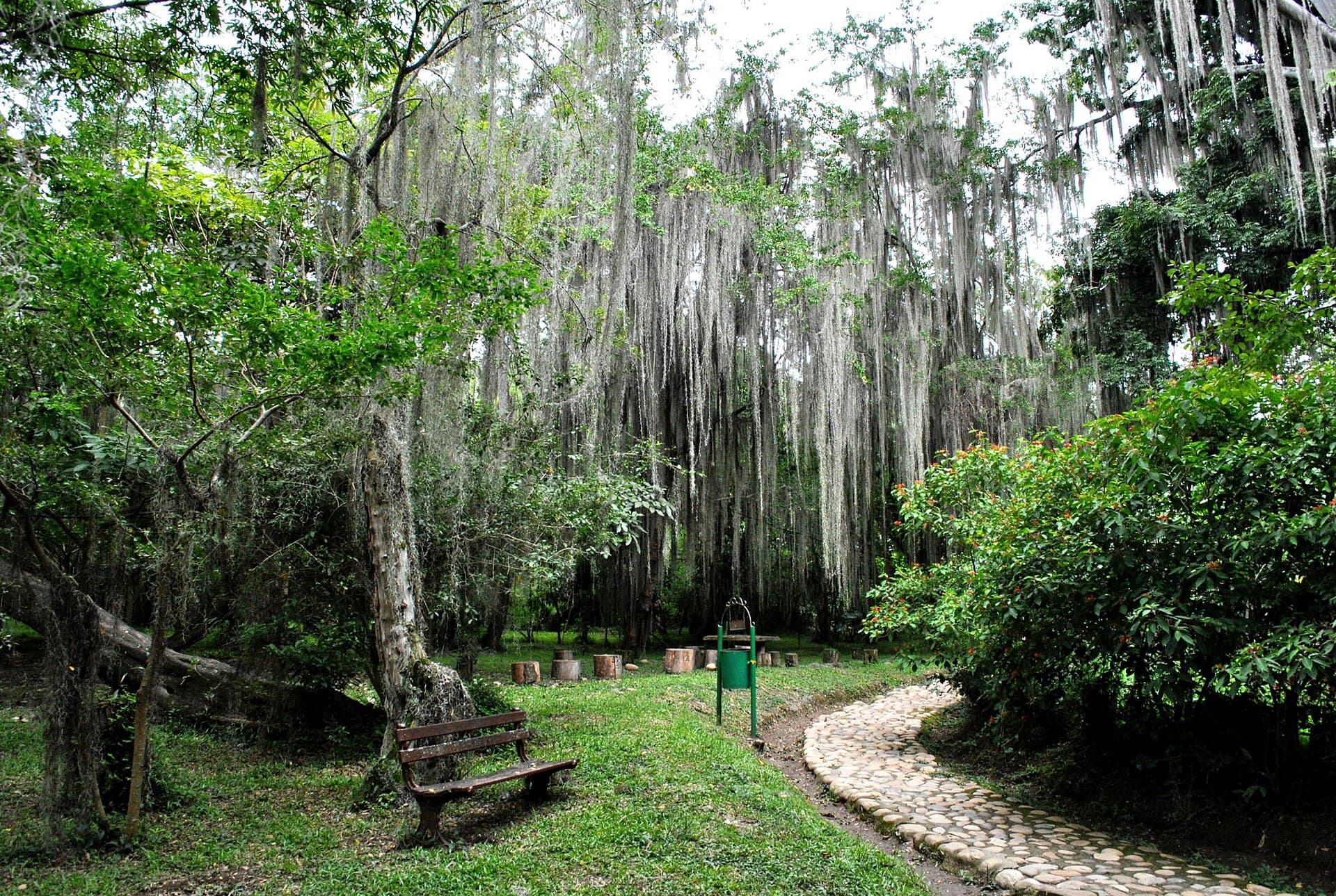 El Gallineral Park