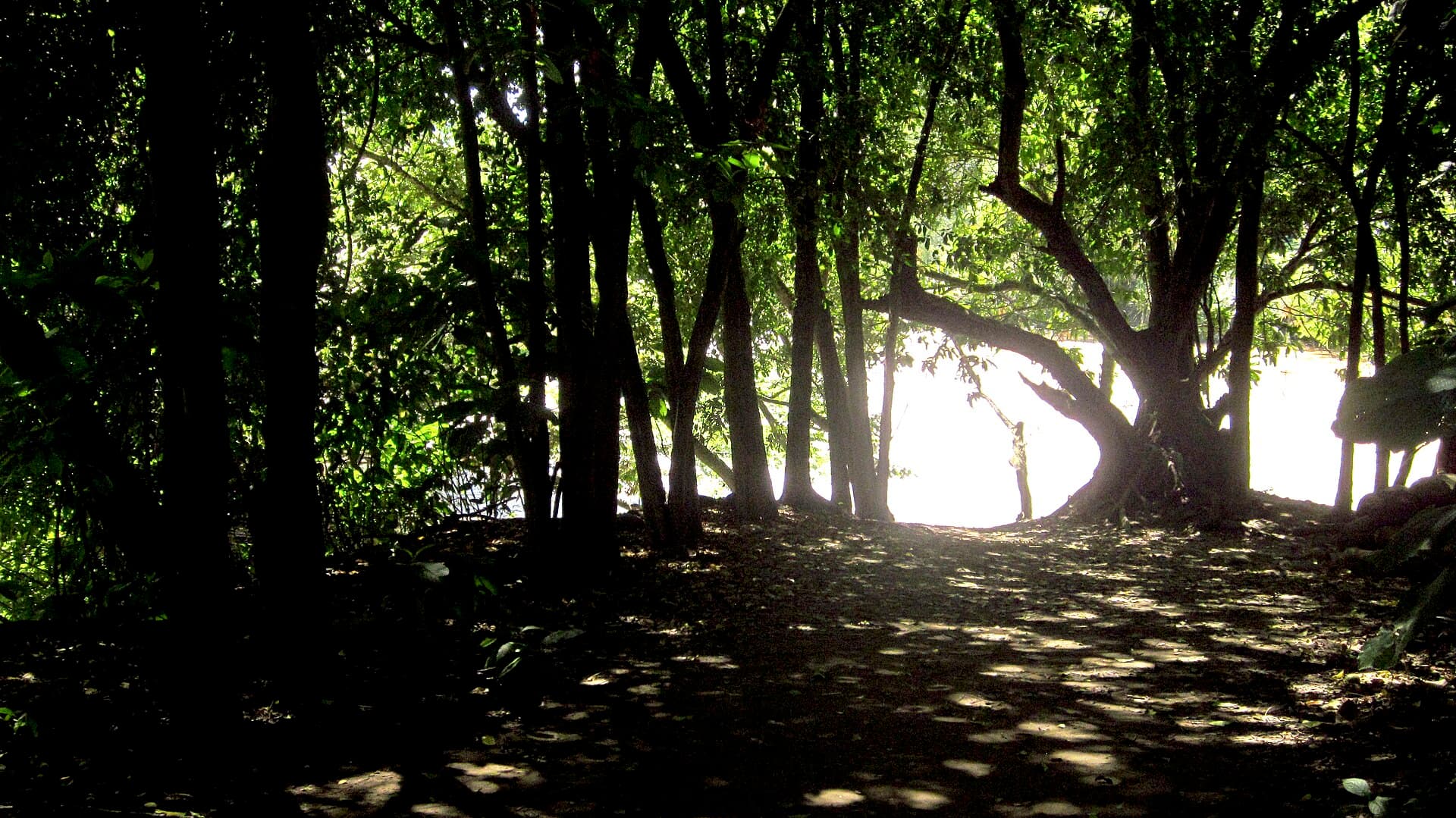 El Gallineral Park