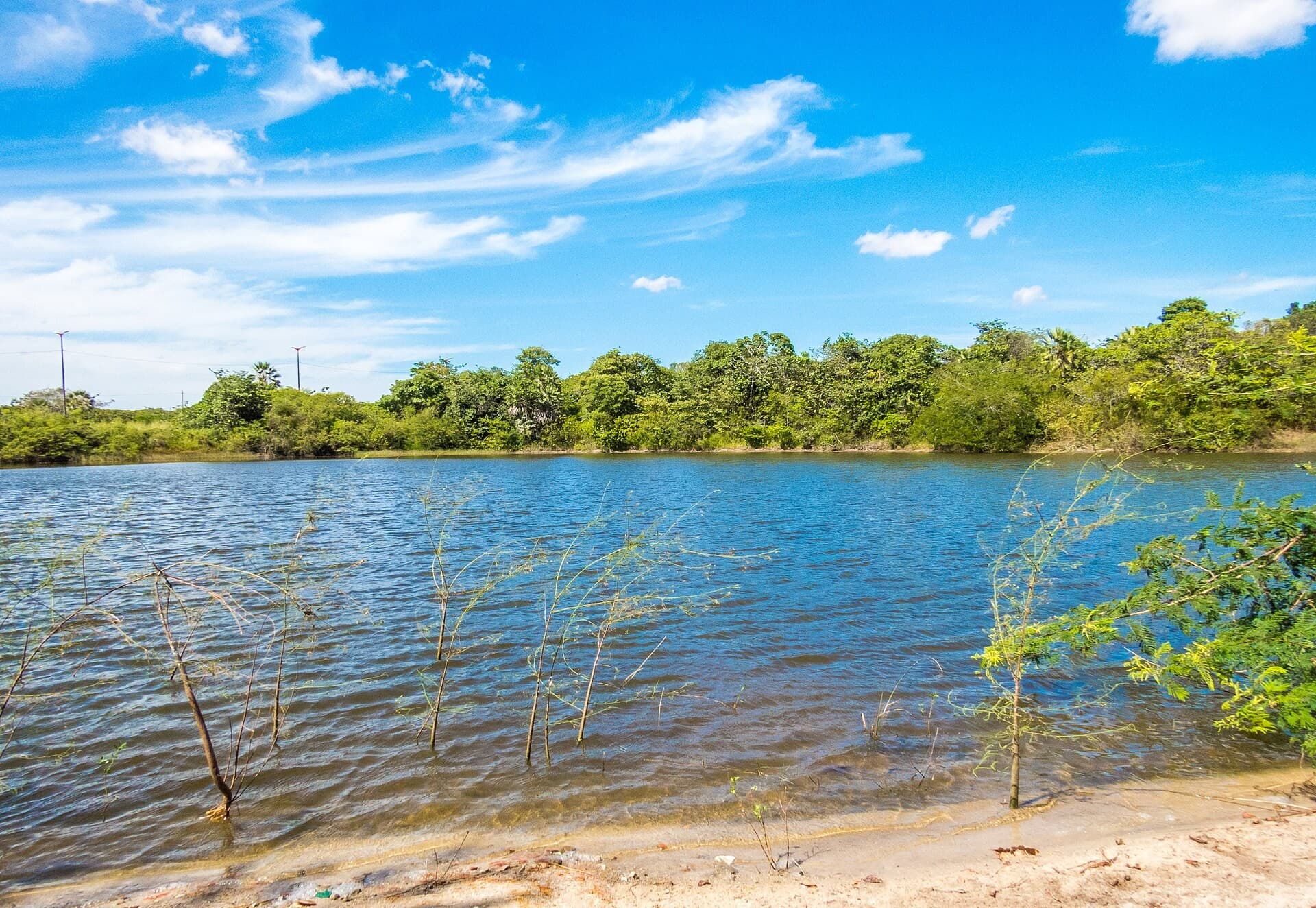 Ceará State Botanical Park, Caucaia
