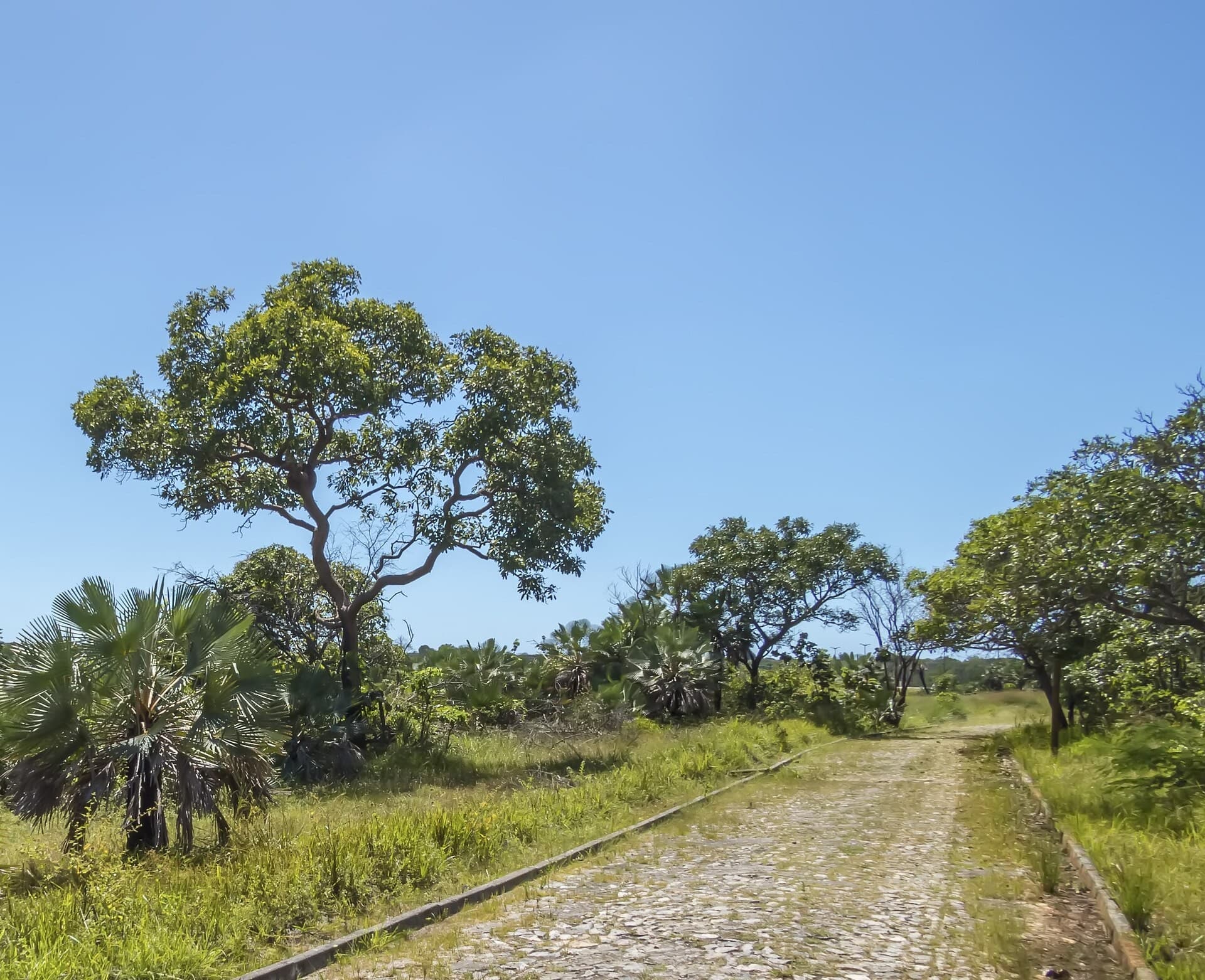 Ceará State Botanical Park, Caucaia