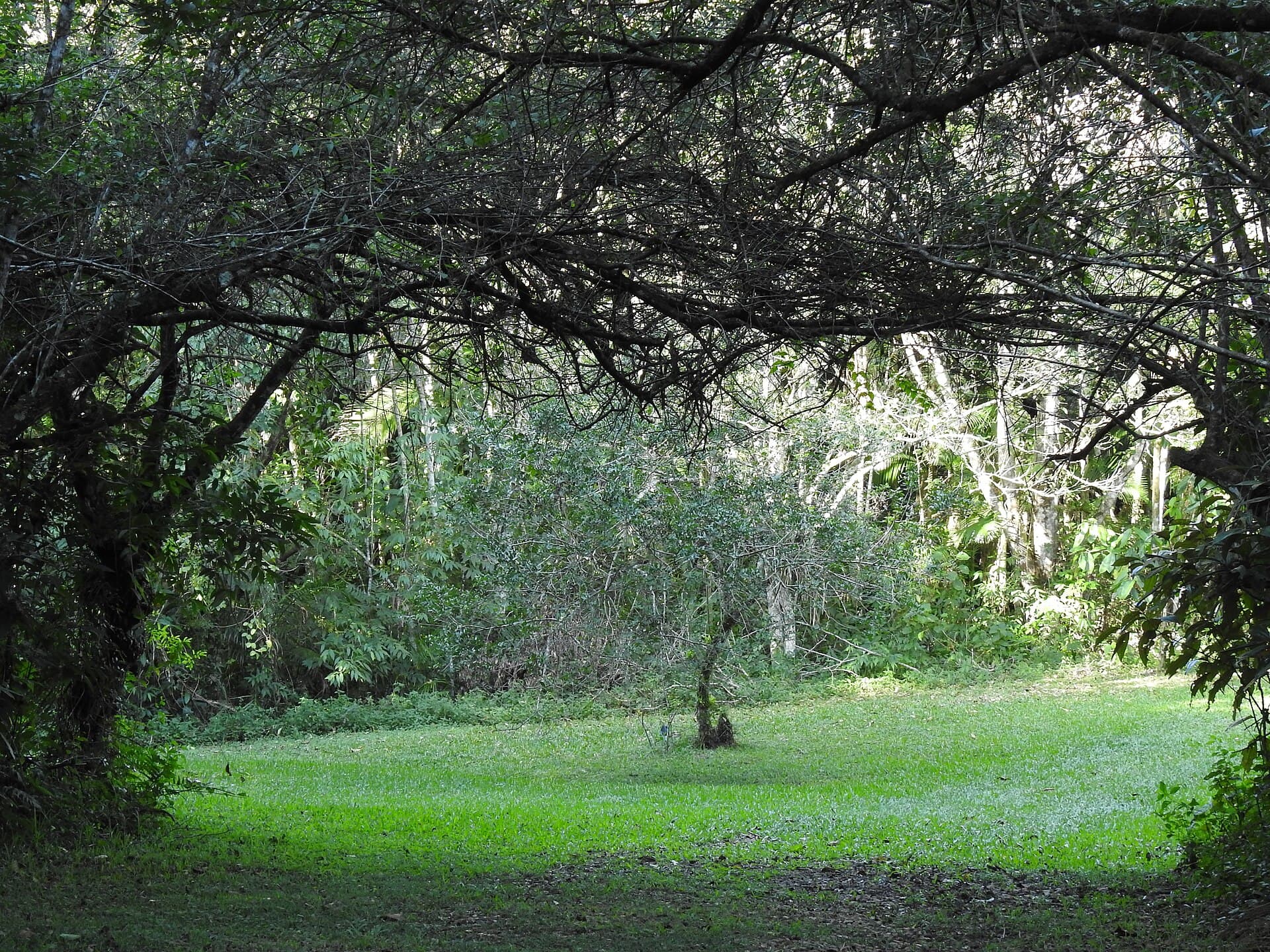 Campina do Encantado State Park, Pariquera-Açu