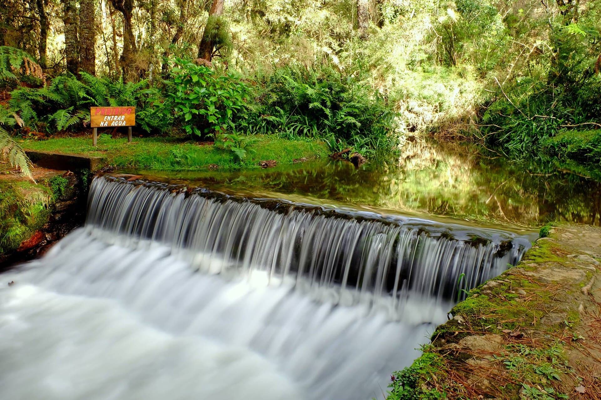 Campos do Jordão State Park (Horto Florestal), Campos do Jordão