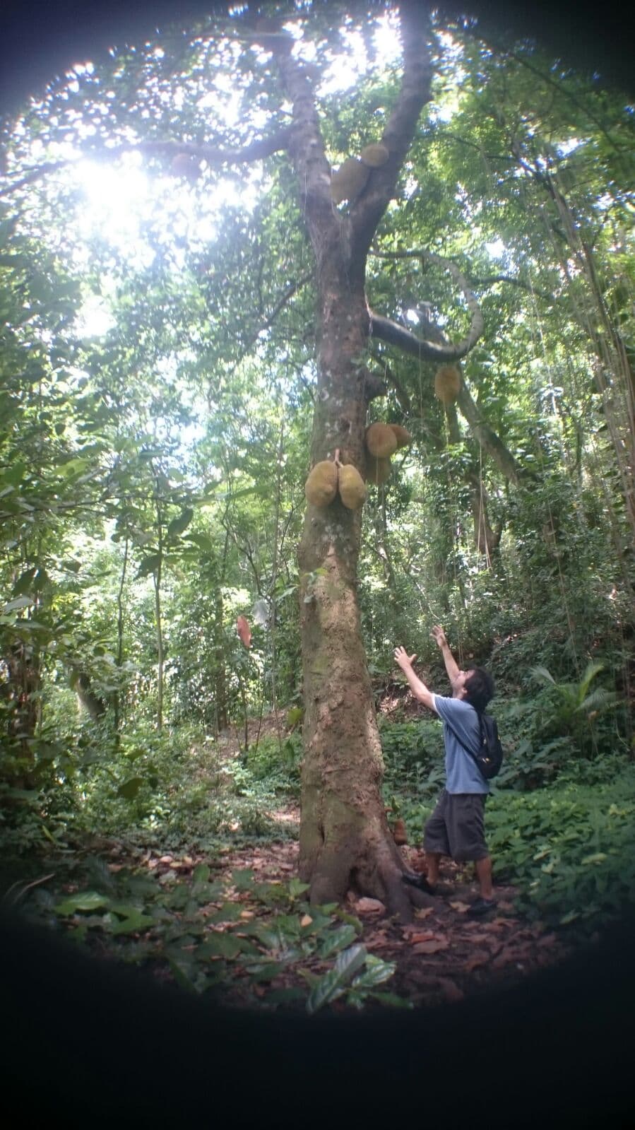 Parque Estadual da Chacrinha, Rio de Janeiro