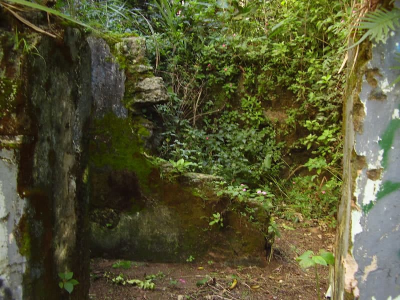 Parque Estadual da Chacrinha, Rio de Janeiro