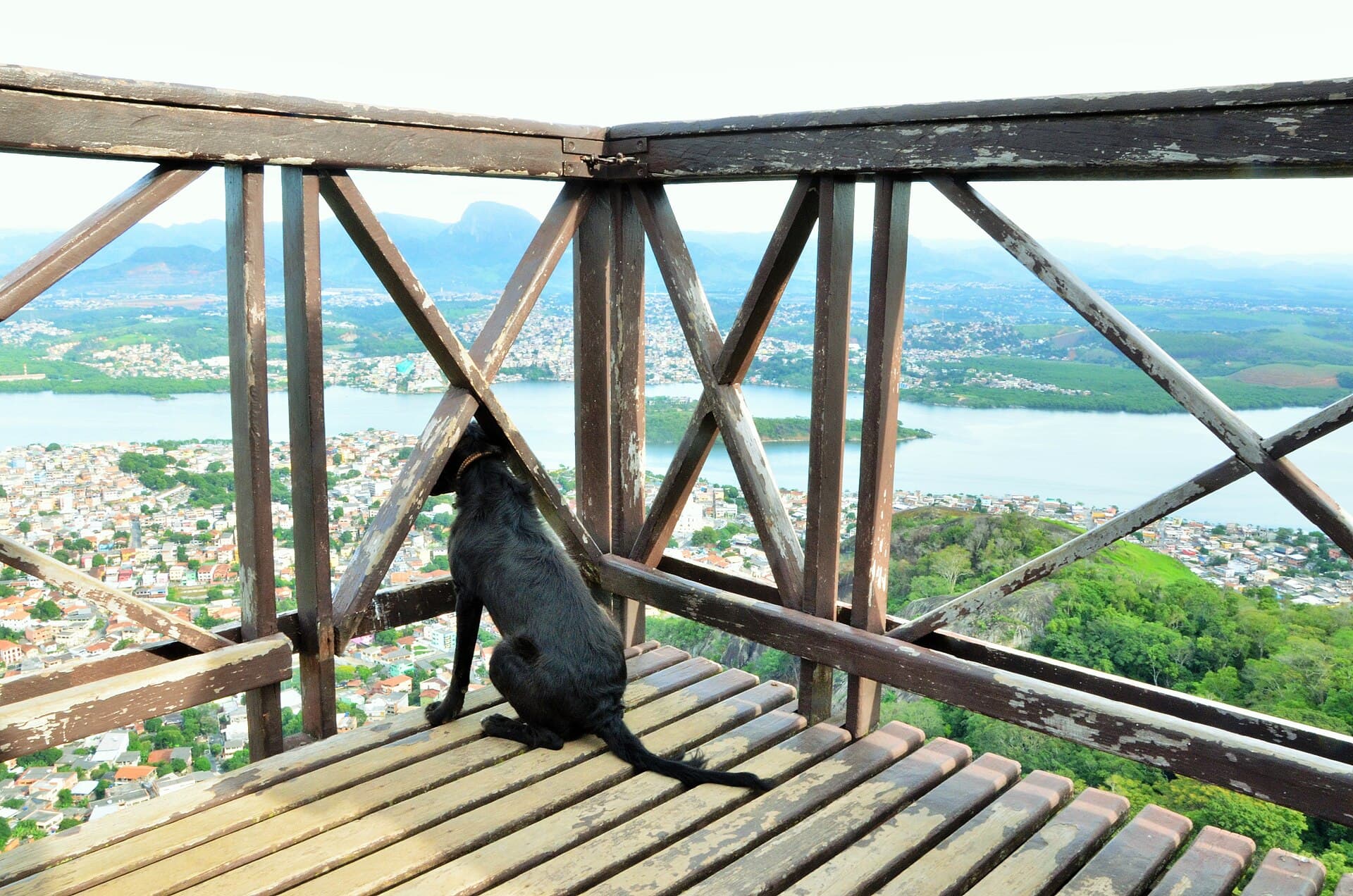 Parque Estadual da Fonte Grande, Vitória