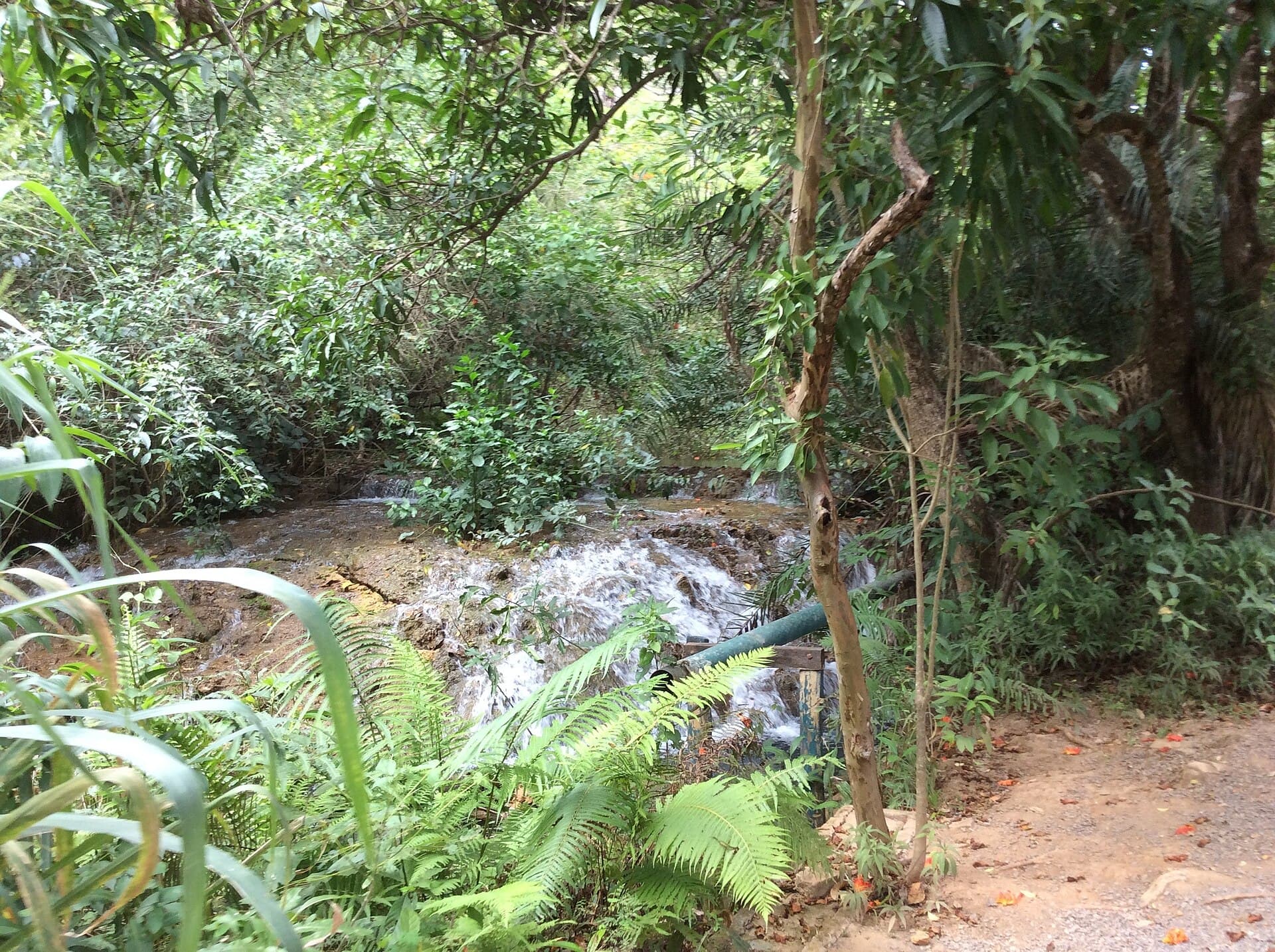Lapa Grande State Park, Montes Claros