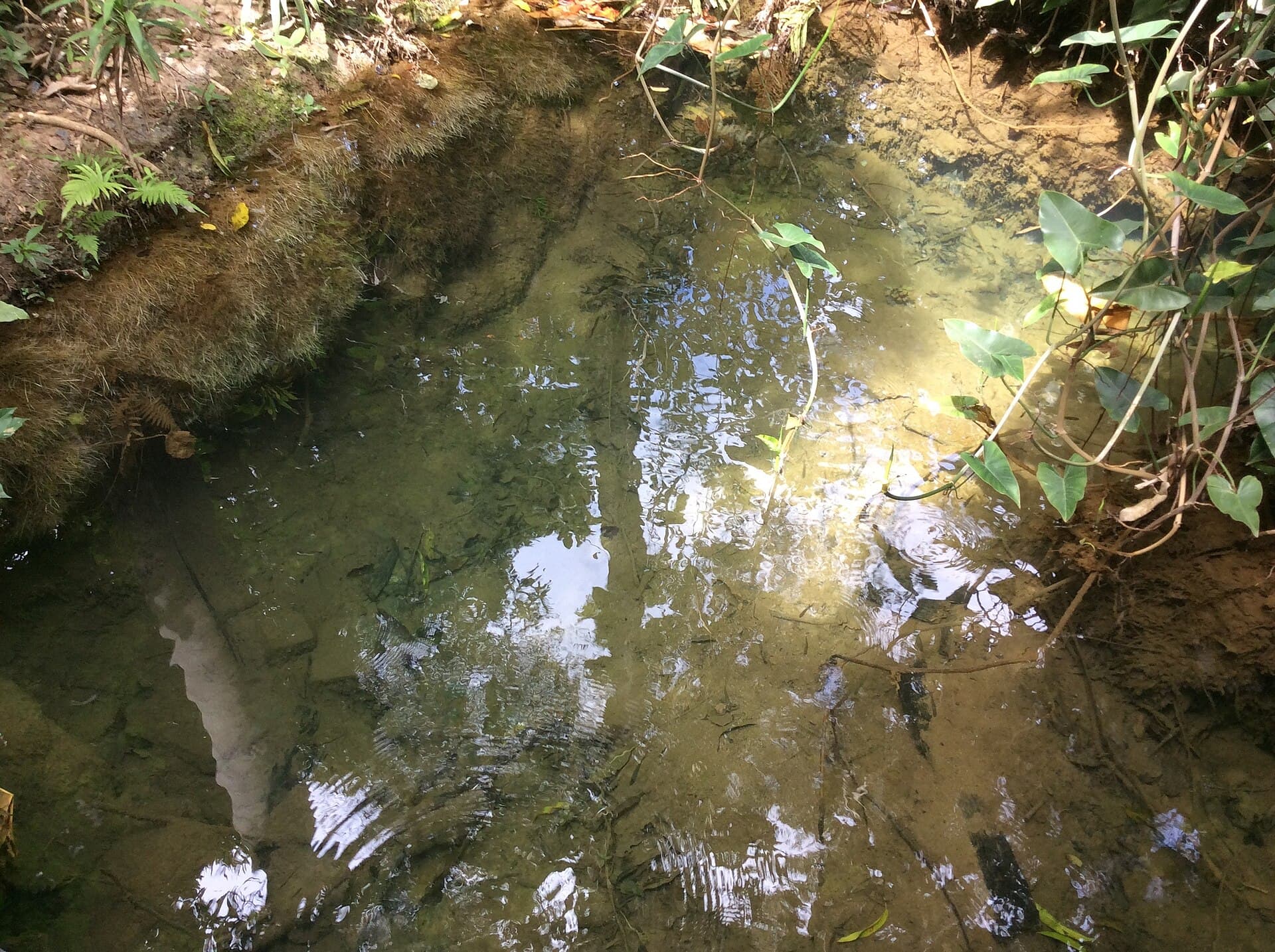 Lapa Grande State Park, Montes Claros