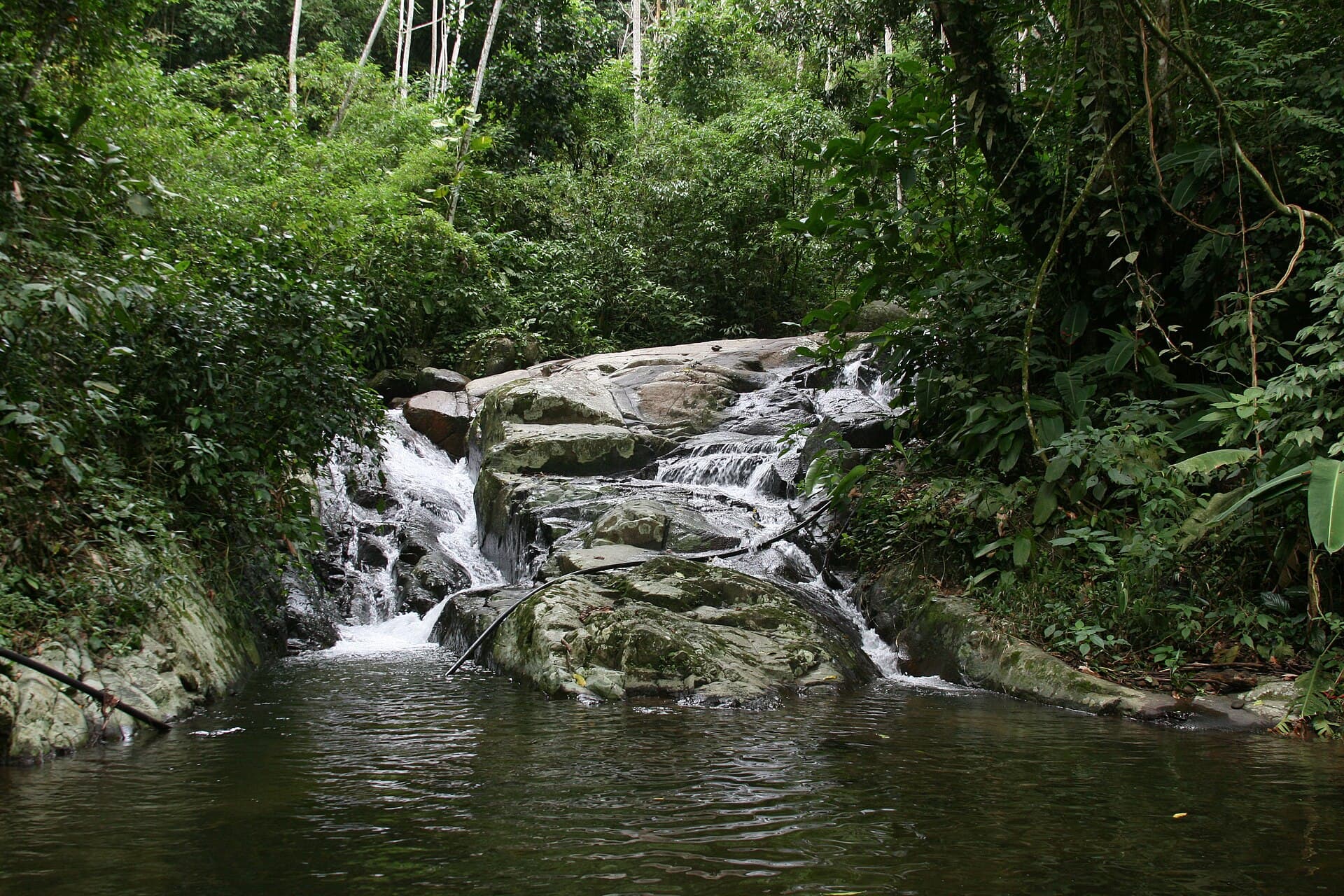 Pedra Branca State Park, Rio de Janeiro