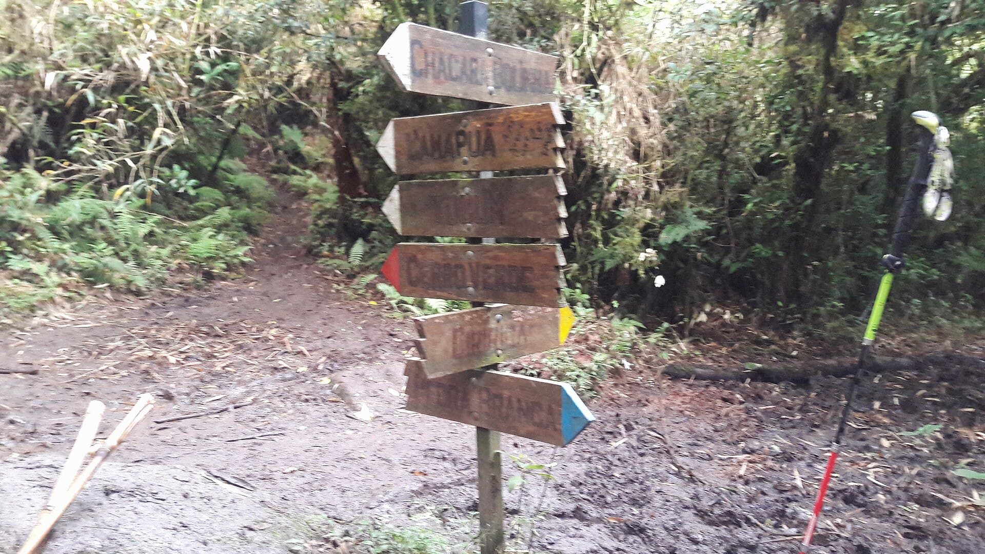 Ibiporã State Park, Ibiporã