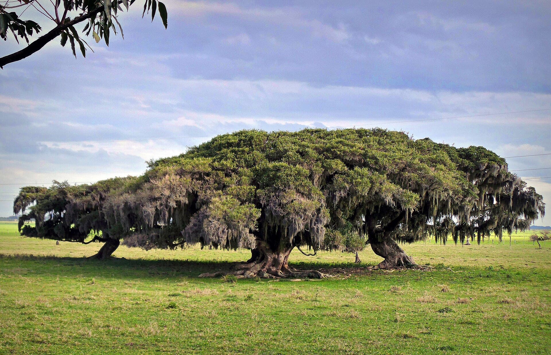 Itapeva State Park, Torres
