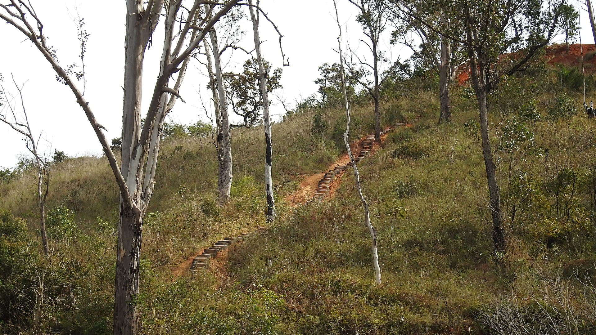 Juquery State Park, Franco da Rocha