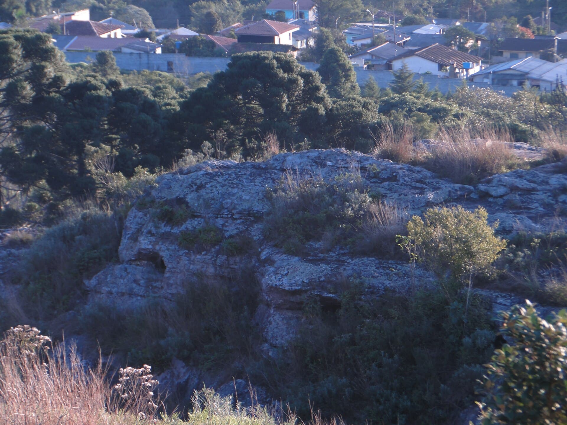 Monge State Park, Lapa
