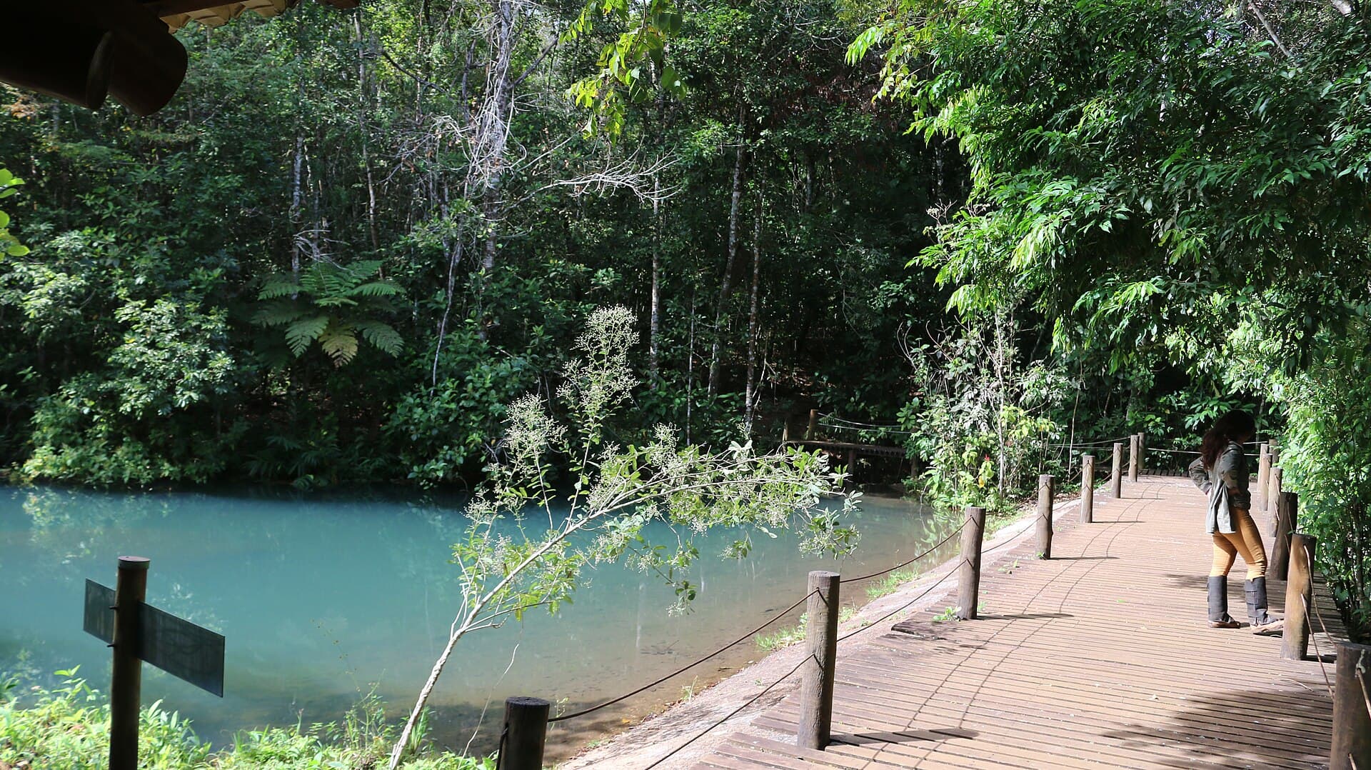 Parque Estadual do Prosa, Campo Grande