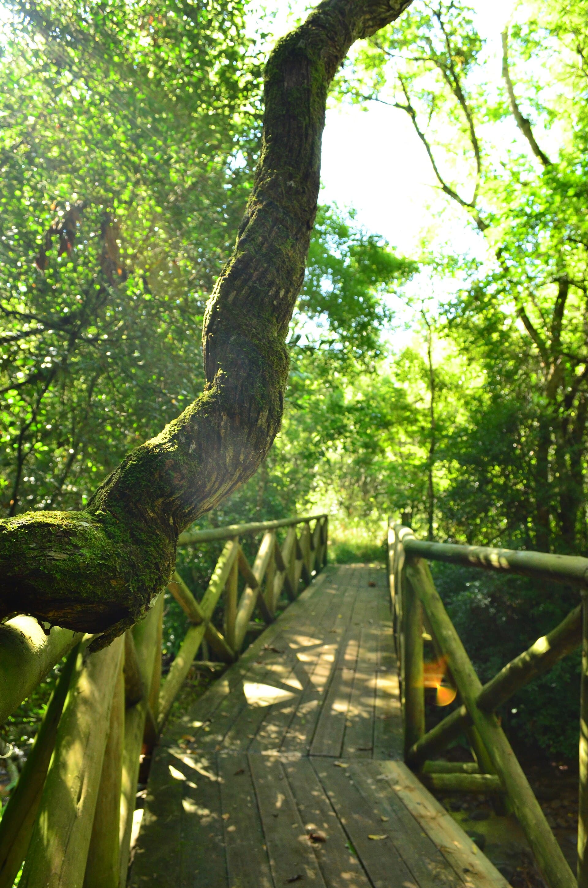Fritz Plaumann State Park, Concórdia