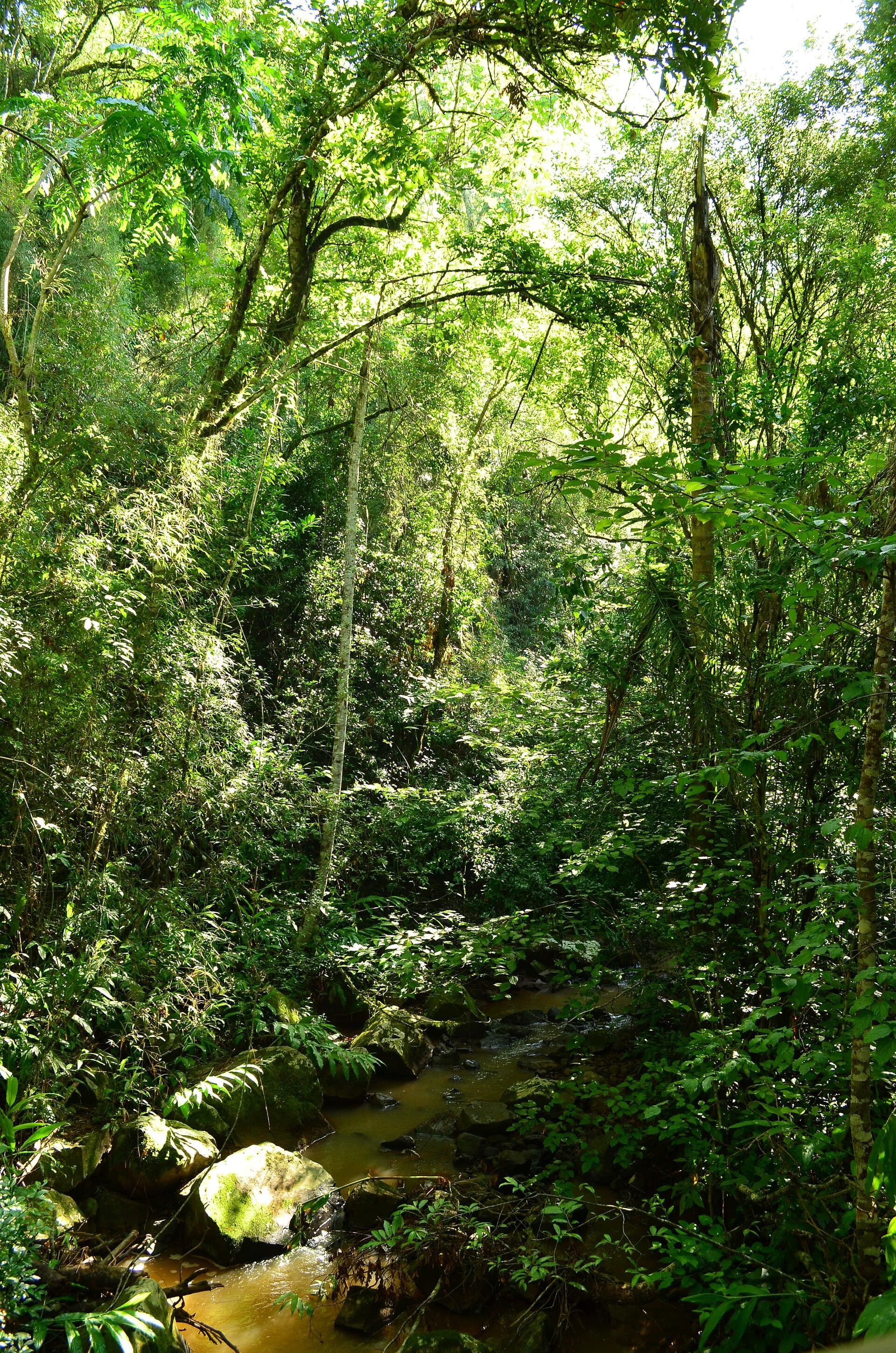 Fritz Plaumann State Park, Concórdia