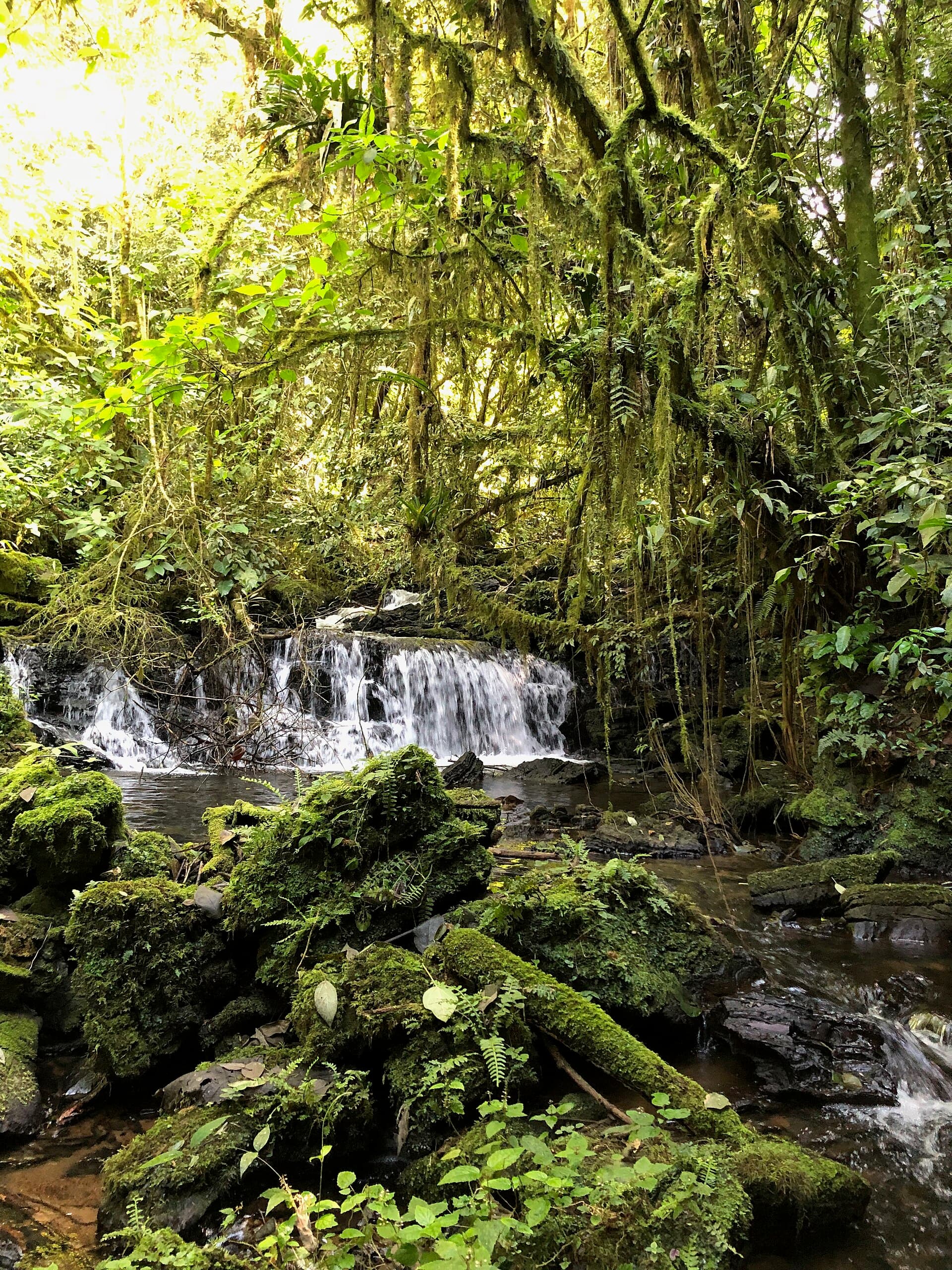 Intervales State Park, Ribeirão Grande